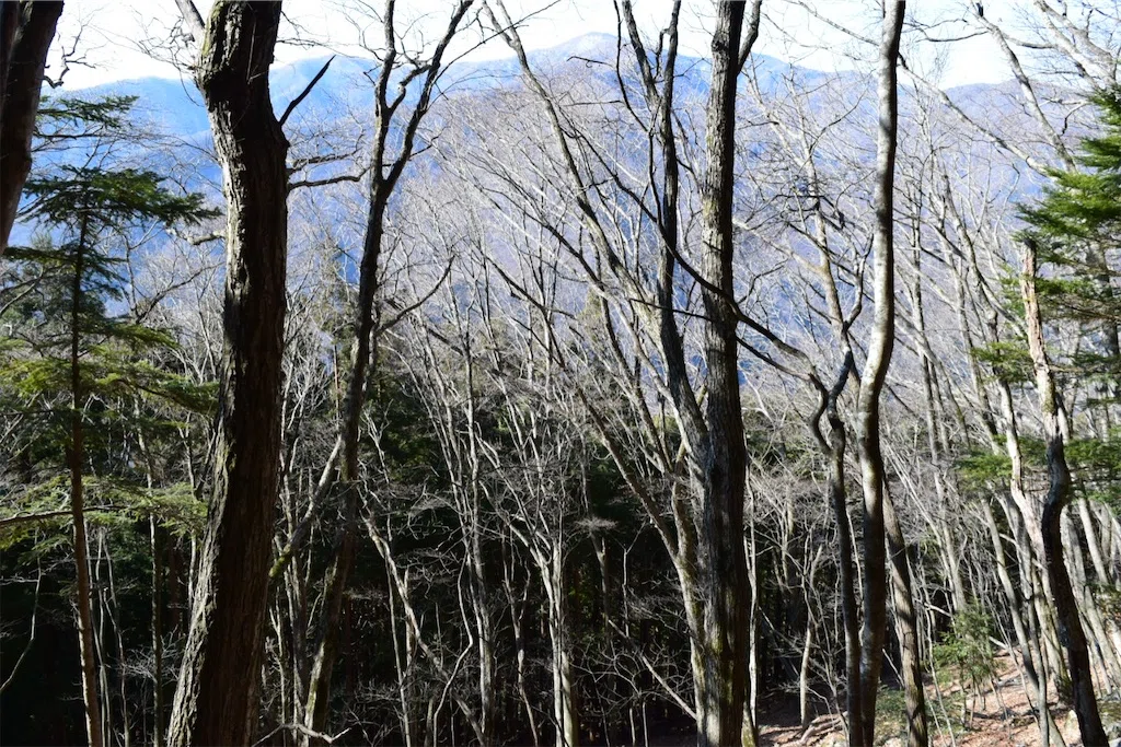 f:id:karatorisanpo3:20250301113505j:image