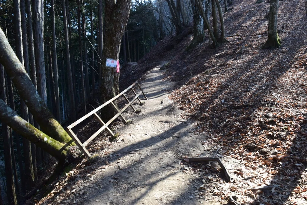 f:id:karatorisanpo3:20250301113654j:image