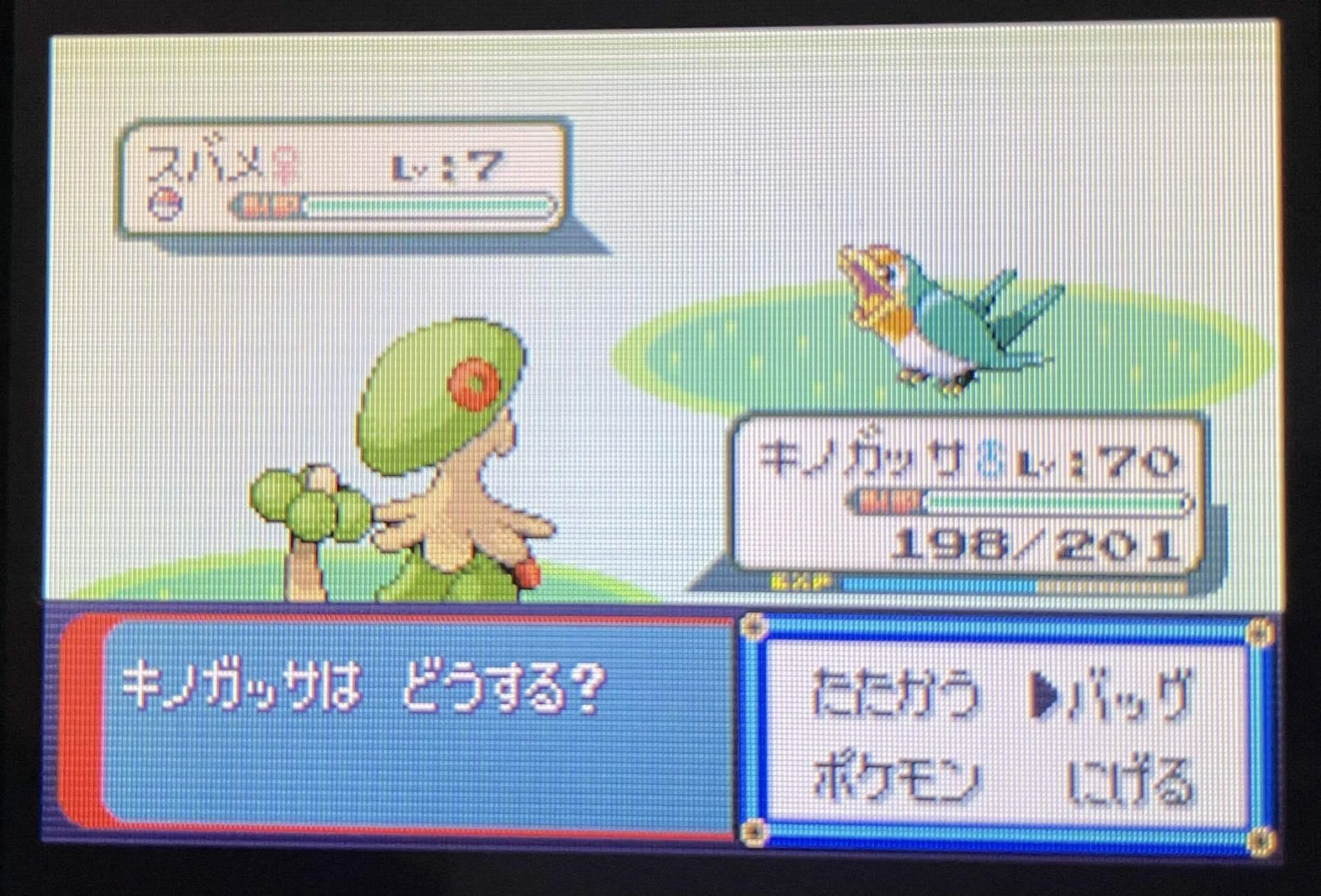 ポケモン エメラルド】裏ID特定｜kino3ta
