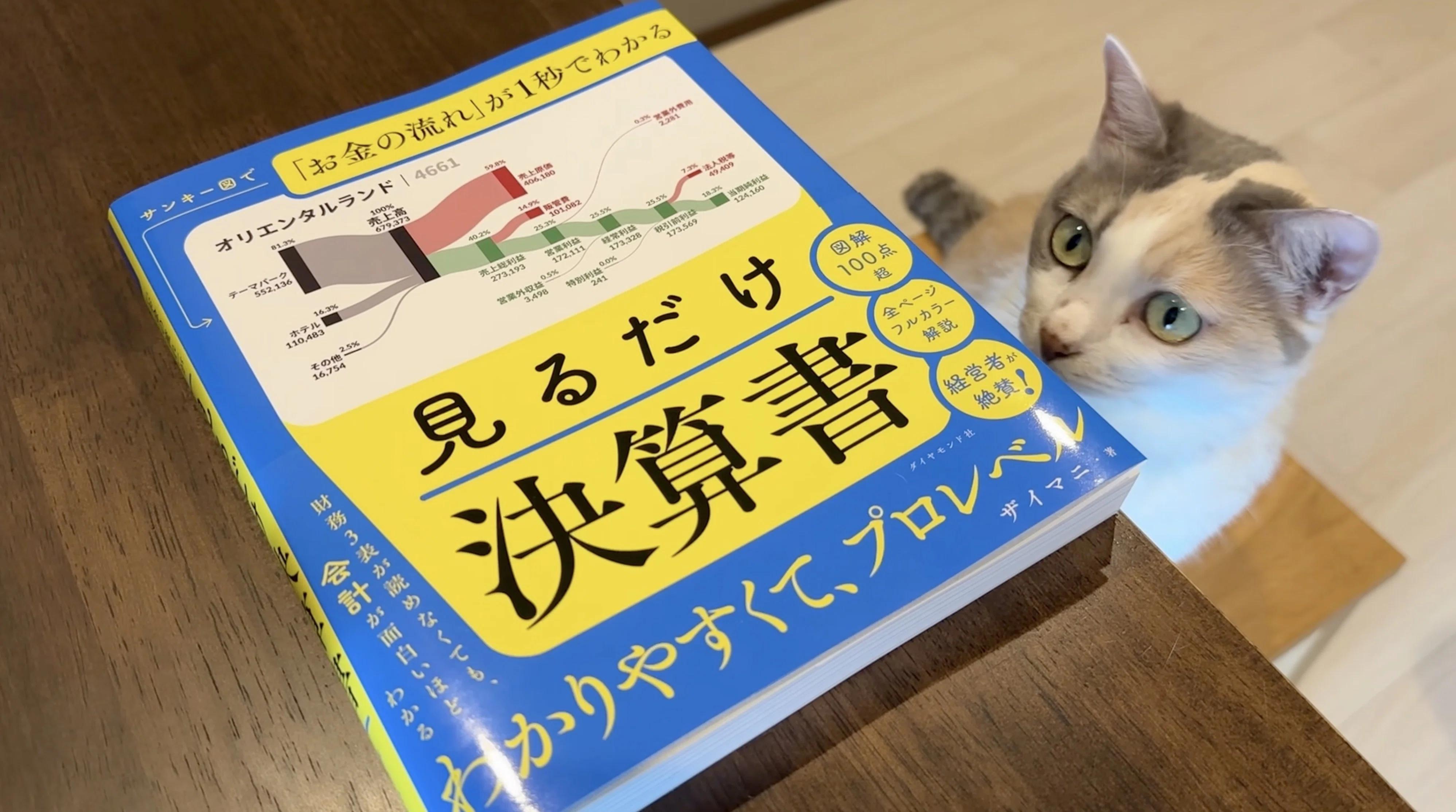 決算書×サンキー図」を一冊に。ザイマニ初の書籍『見るだけ決算書