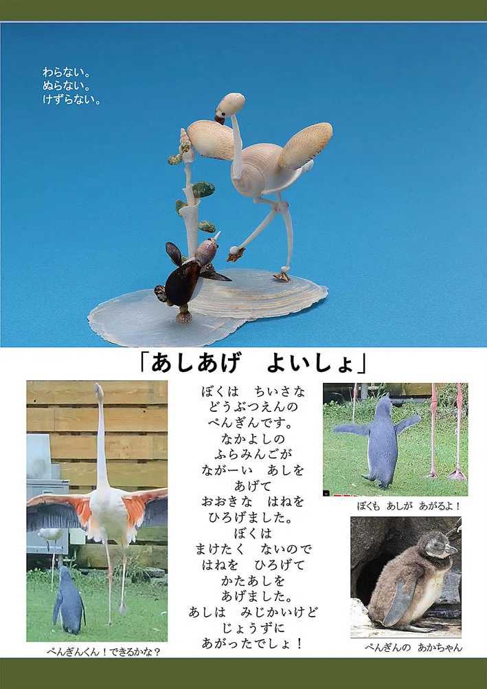 フラミンゴとペンギン」｜zoo_shell