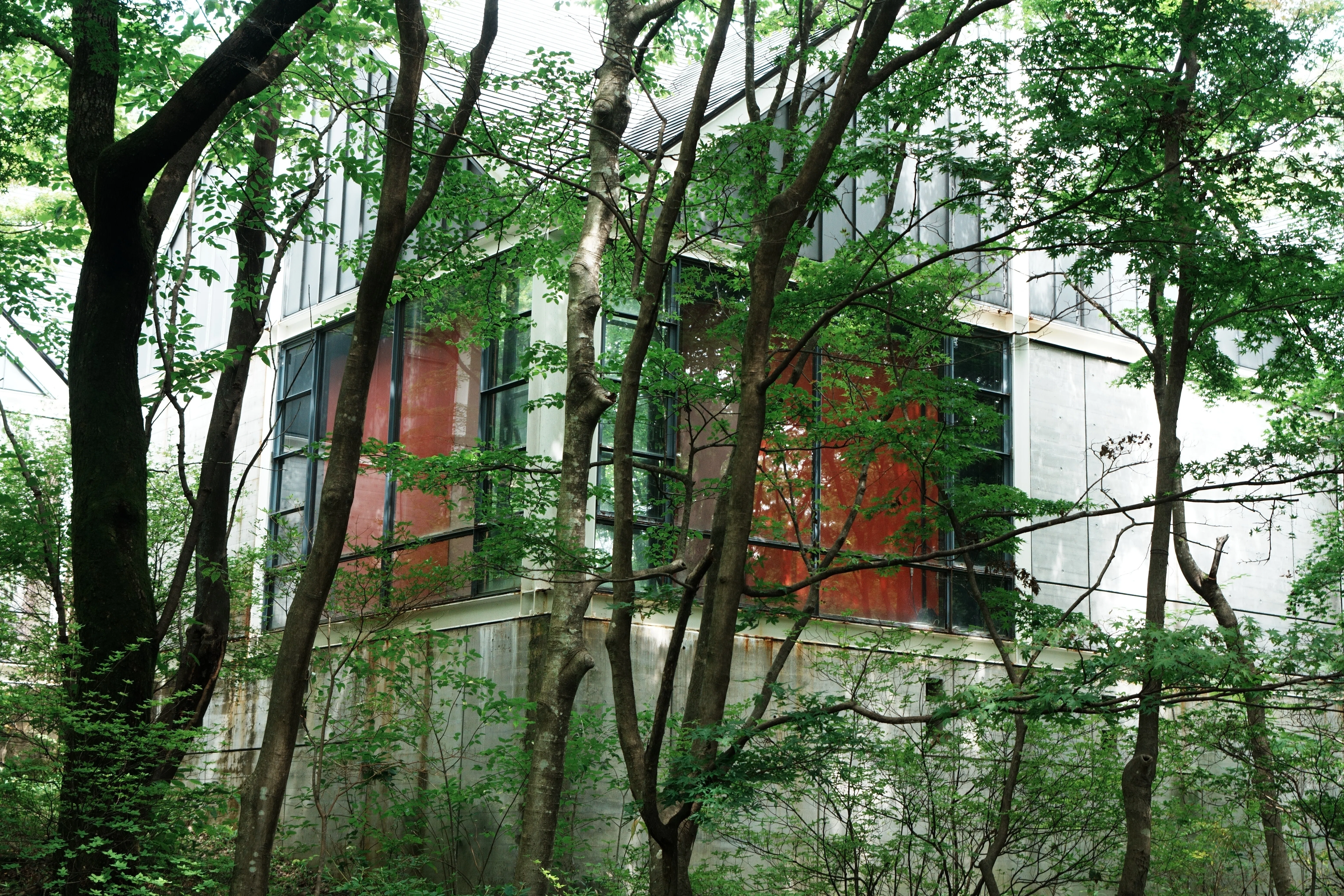 藤城清治美術館・緑豊かな那須高原で影絵の世界に没入｜きみたろう