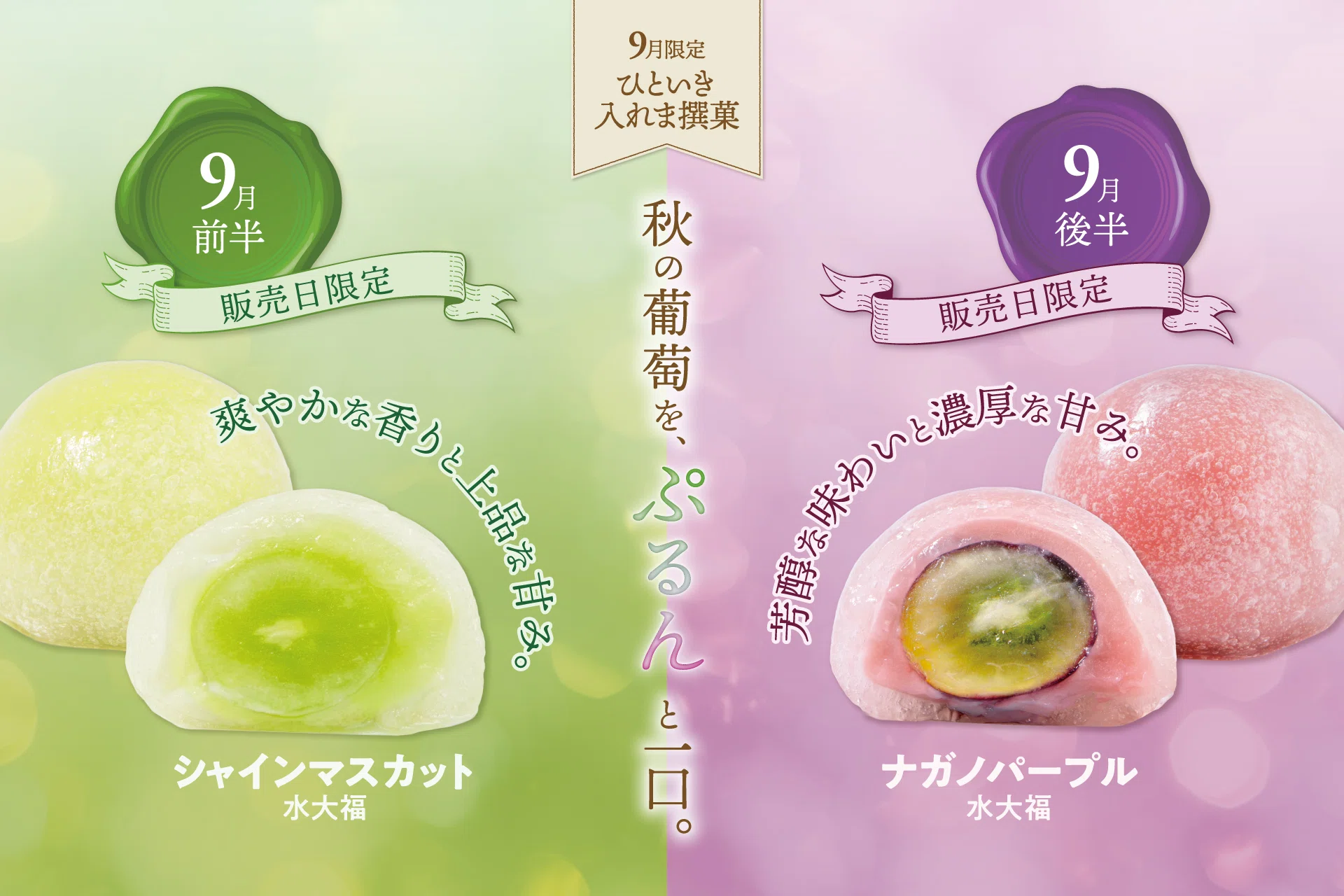 【しめゆず様】専用・4点まとめ買い特価①緑360g×2②肌300g③紫360g 9月のひといき入れま撰菓『シャインマスカット水大福』『ナガノ
