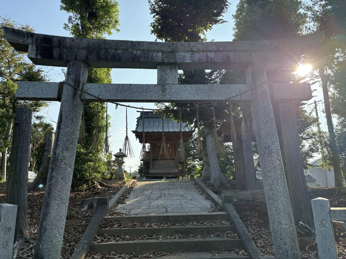 画像