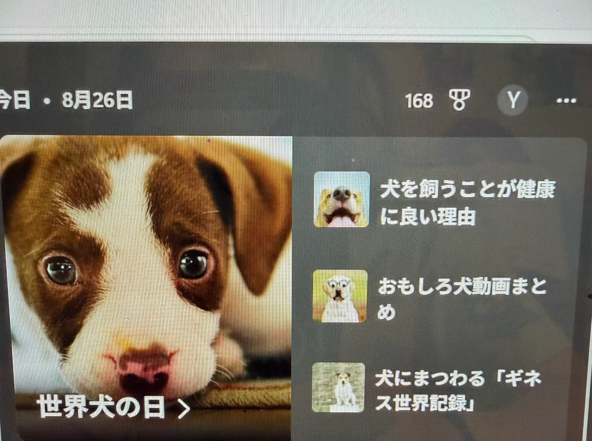 世界犬の日。愛犬4匹ともっと出かけたくて、1万5千円のペットカートを買いました。笑｜うちゃりん