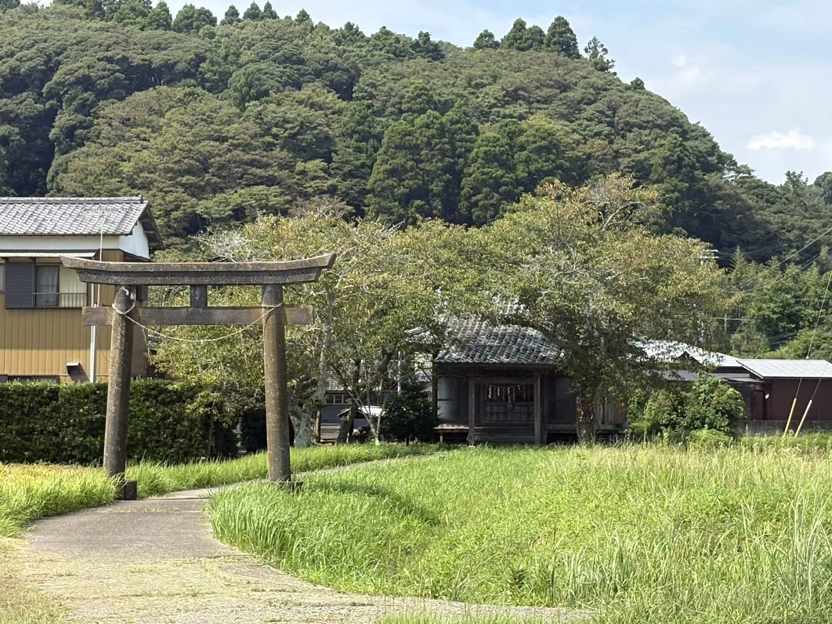 画像