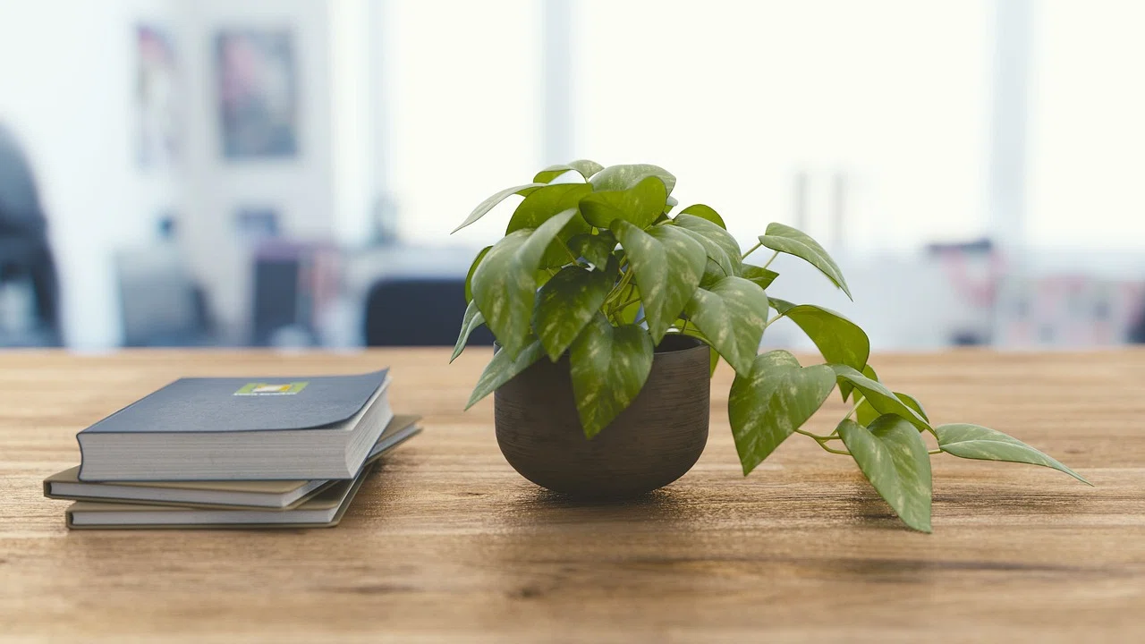 Is Your Room Why You Can't Focus? Spaces That Boost Productivity ...