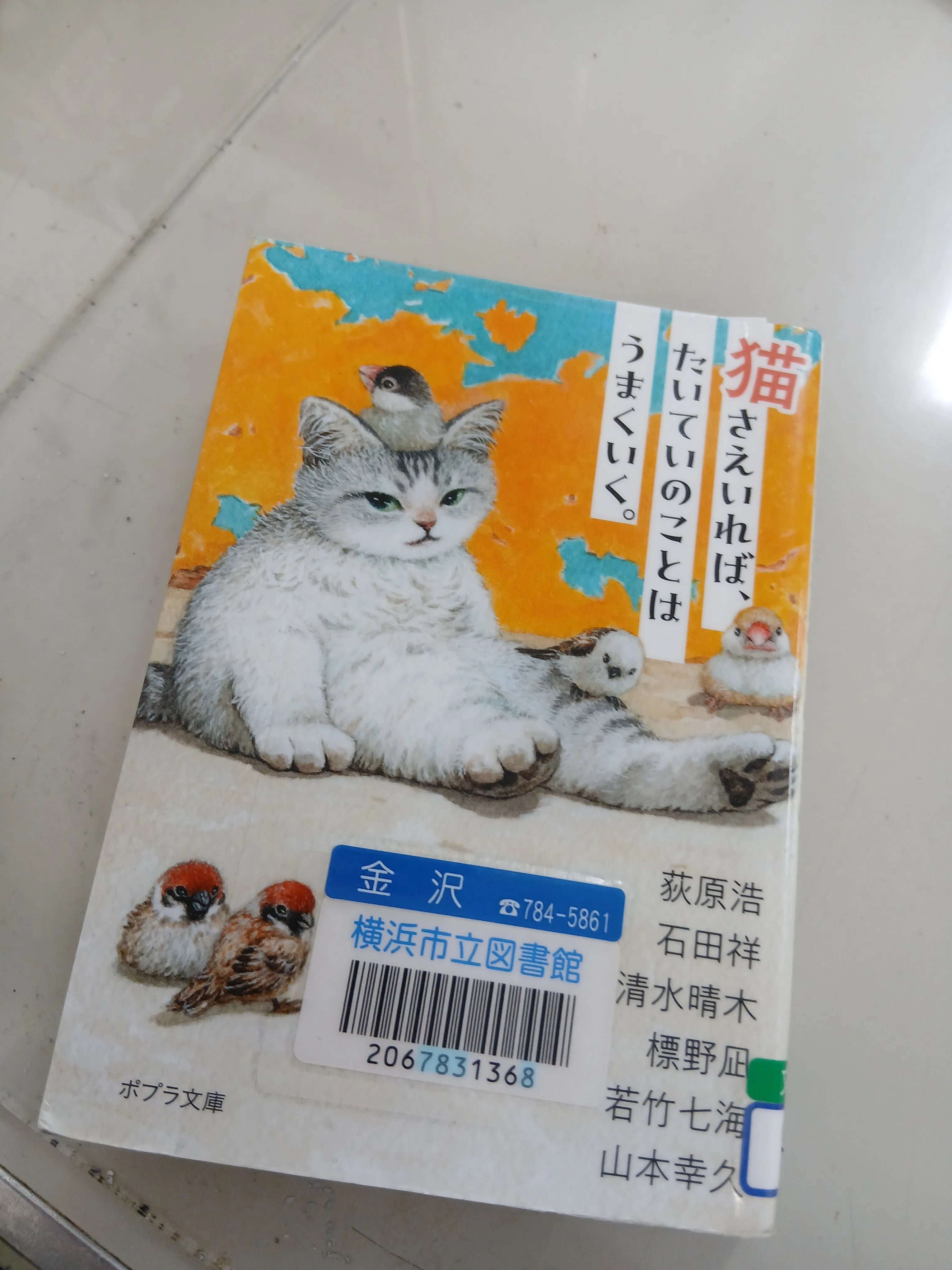 猫さえいれば、たいていのことはうまくいく｜SuzukenSambar
