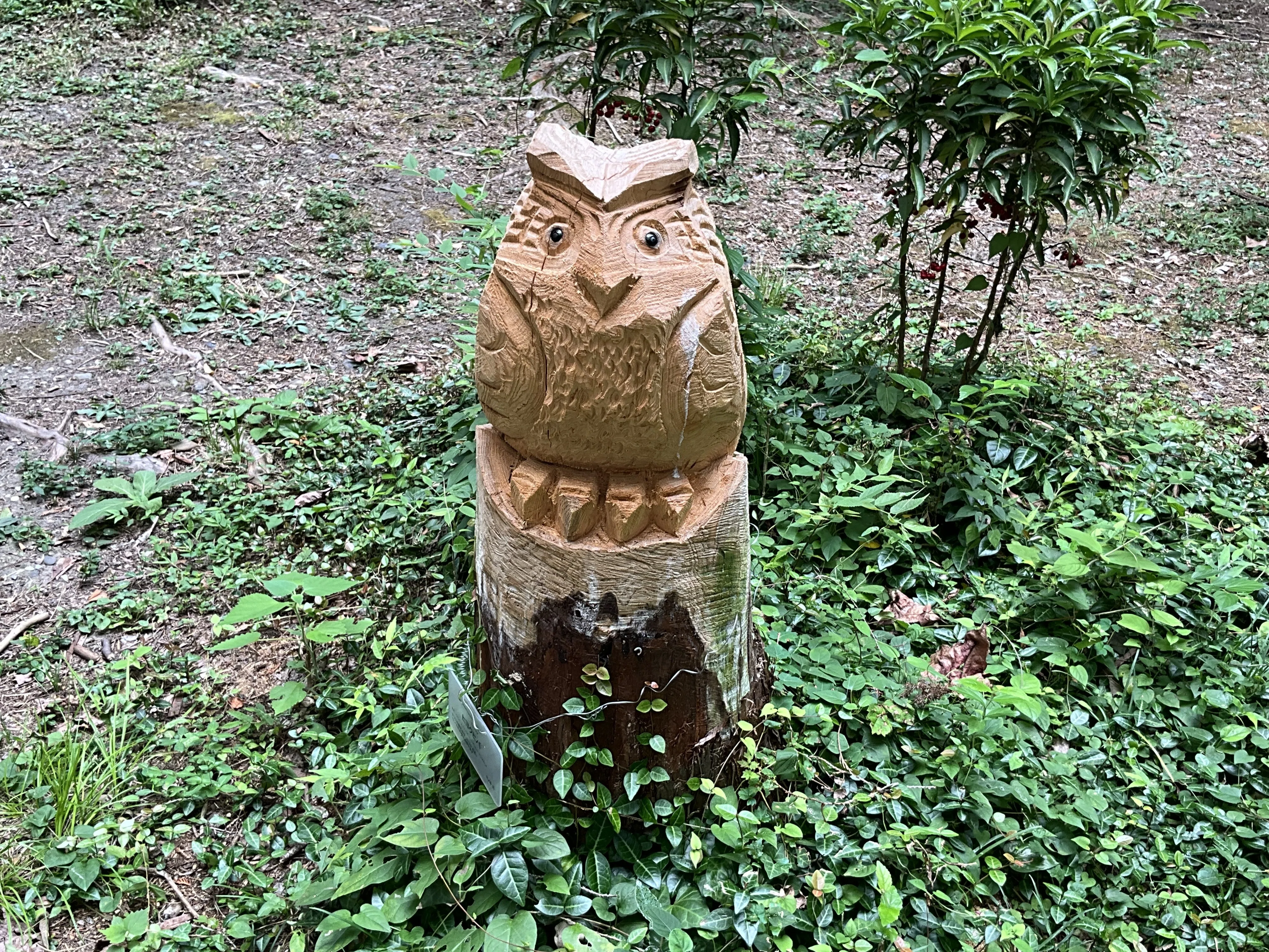 ヒヨクヒバの切株のチェンソーアート（京都府立植物園）：2026年9月7日