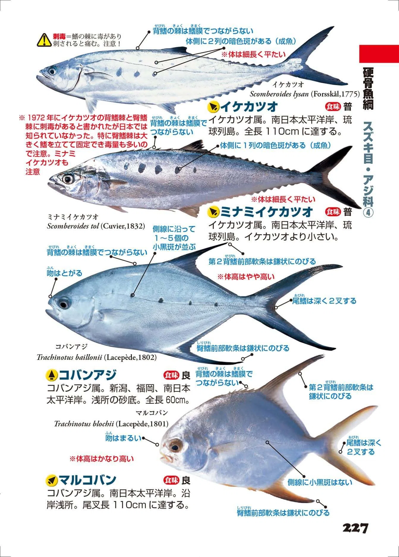 写真探索・釣魚1400種図鑑』【第6刷】直しご報告｜小西英人