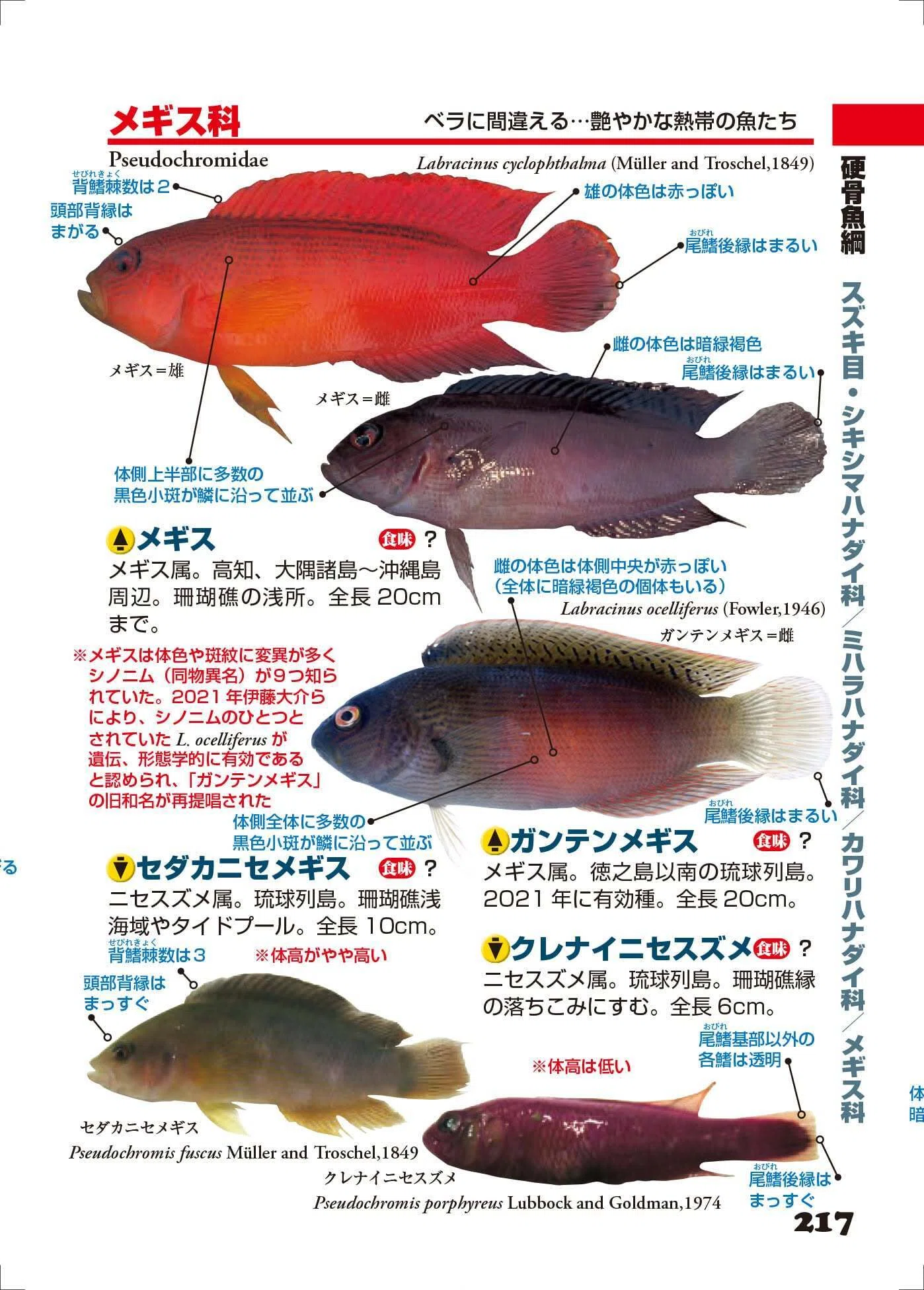 魚類ページ 写真探索・釣魚1400種図鑑』【第6刷】直しご報告｜小西英人