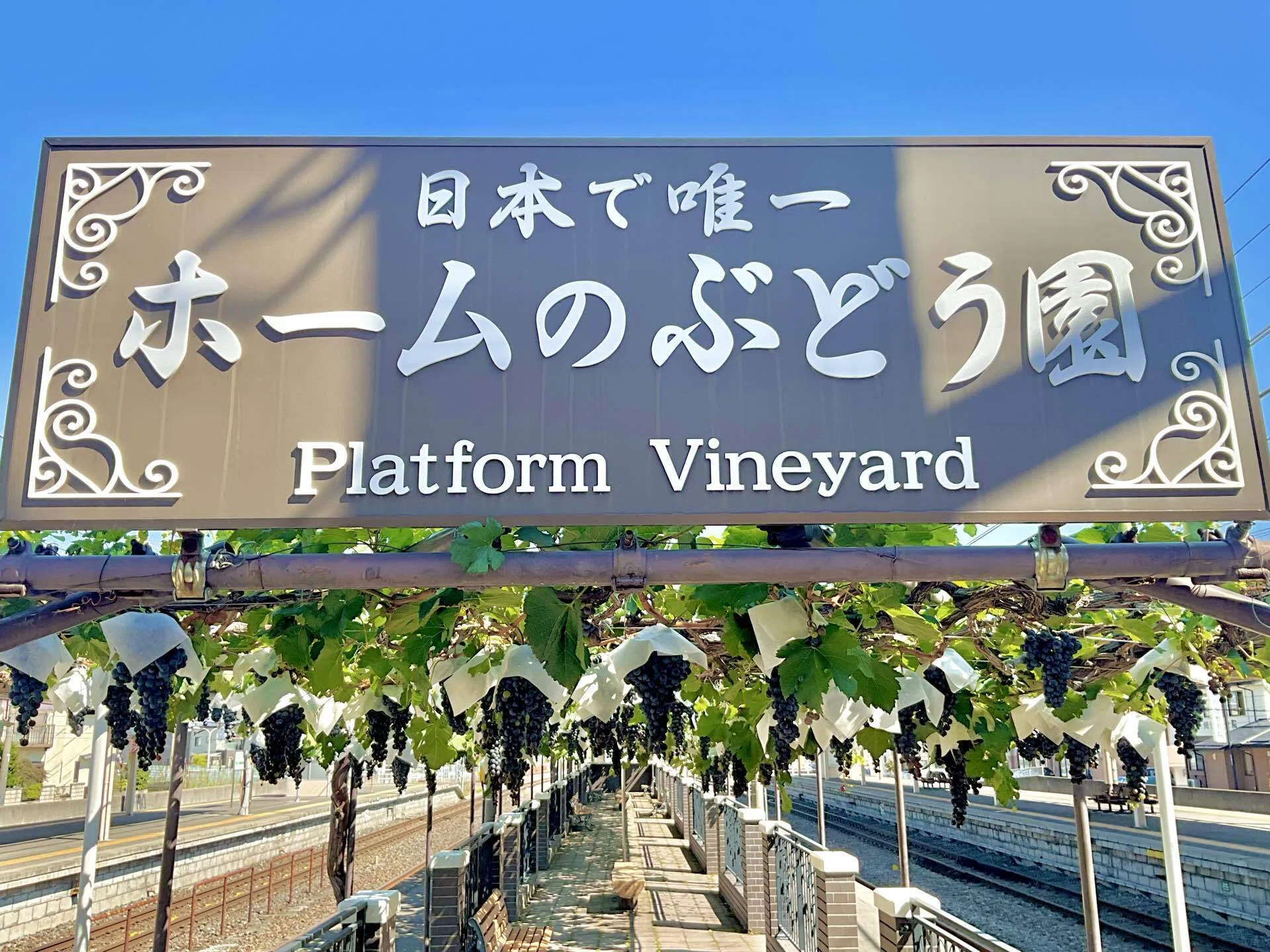 旅行記】青春18きっぷ旅 【長野県松本駅へ！】｜朝比奈 歩