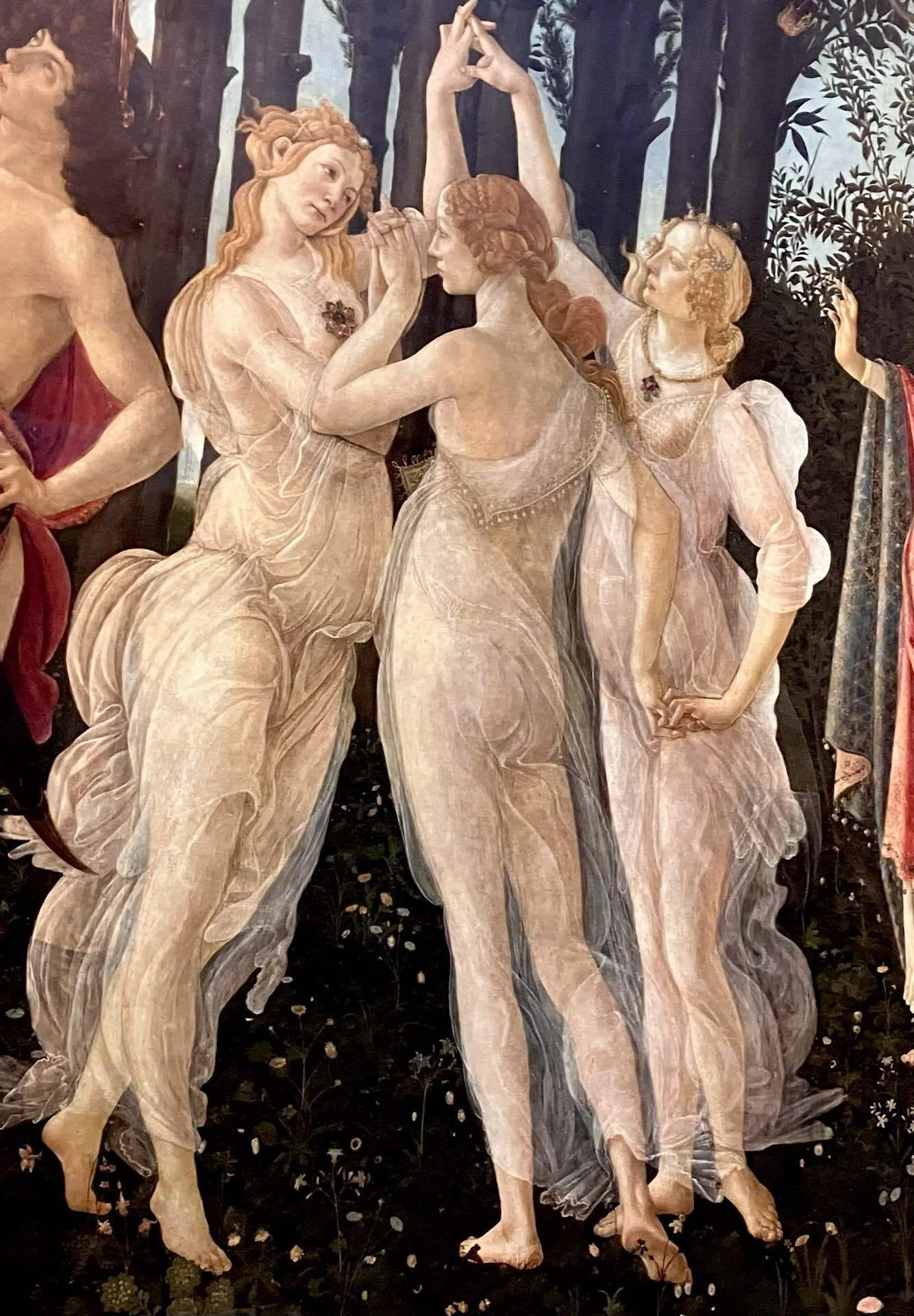 80歳夫婦イタリア絵画旅行記 (45)｜Caita911