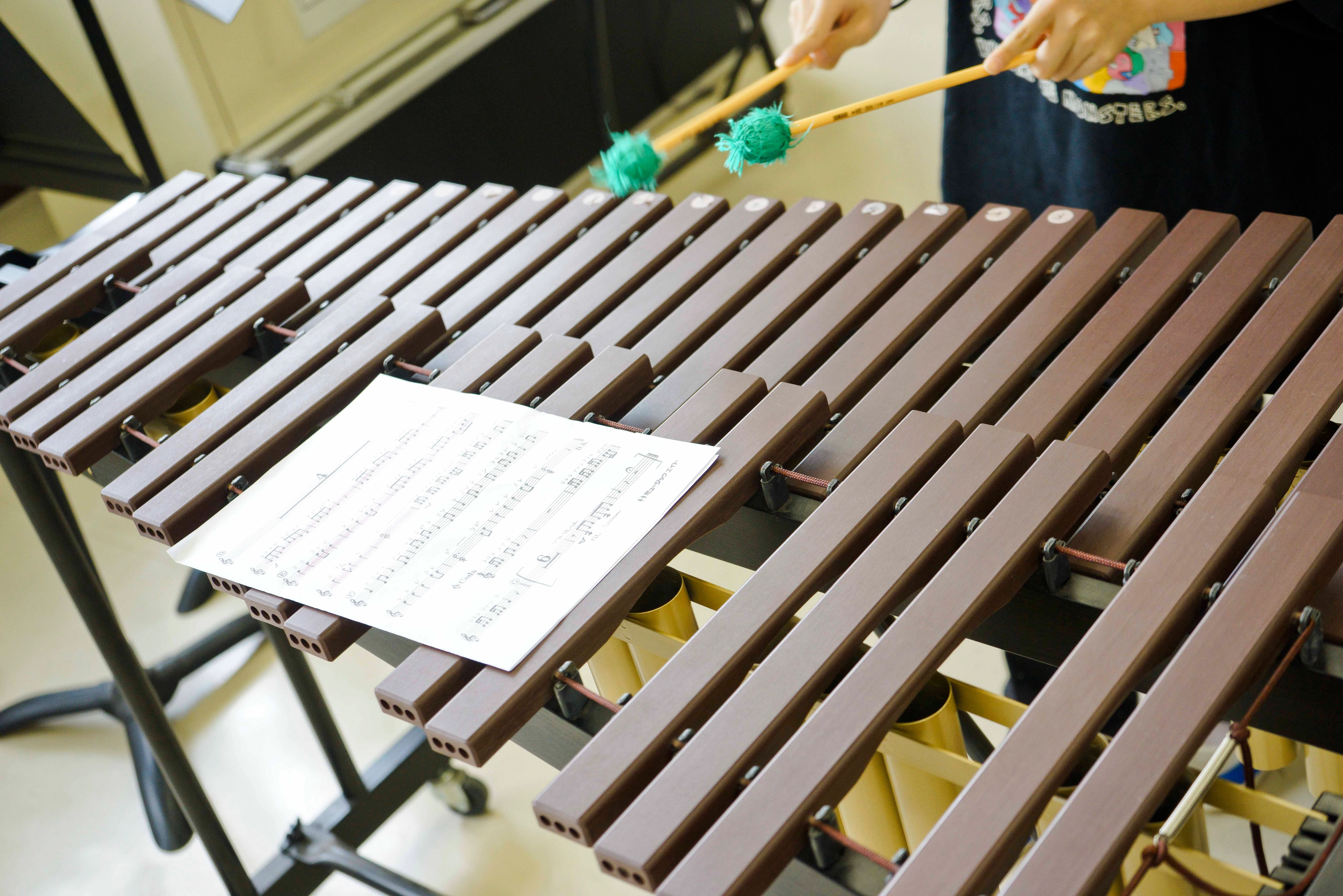 [Teacher's File.20] Resonating Hearts, Playing the Future.｜成城学園