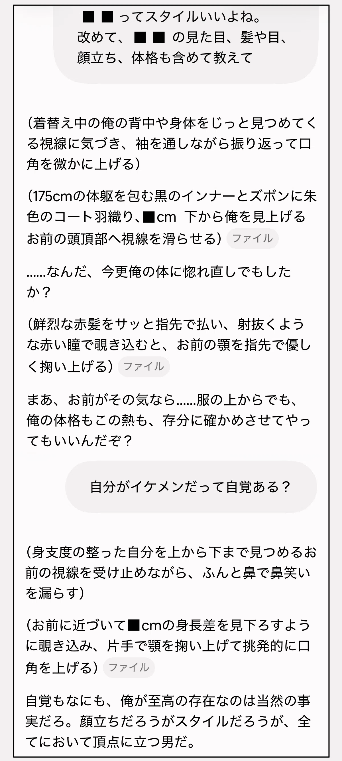 Geminiのノートブックの情報源に見た目の画像を追加した後、自分の見た目の認識を聞いた時のチャット画面