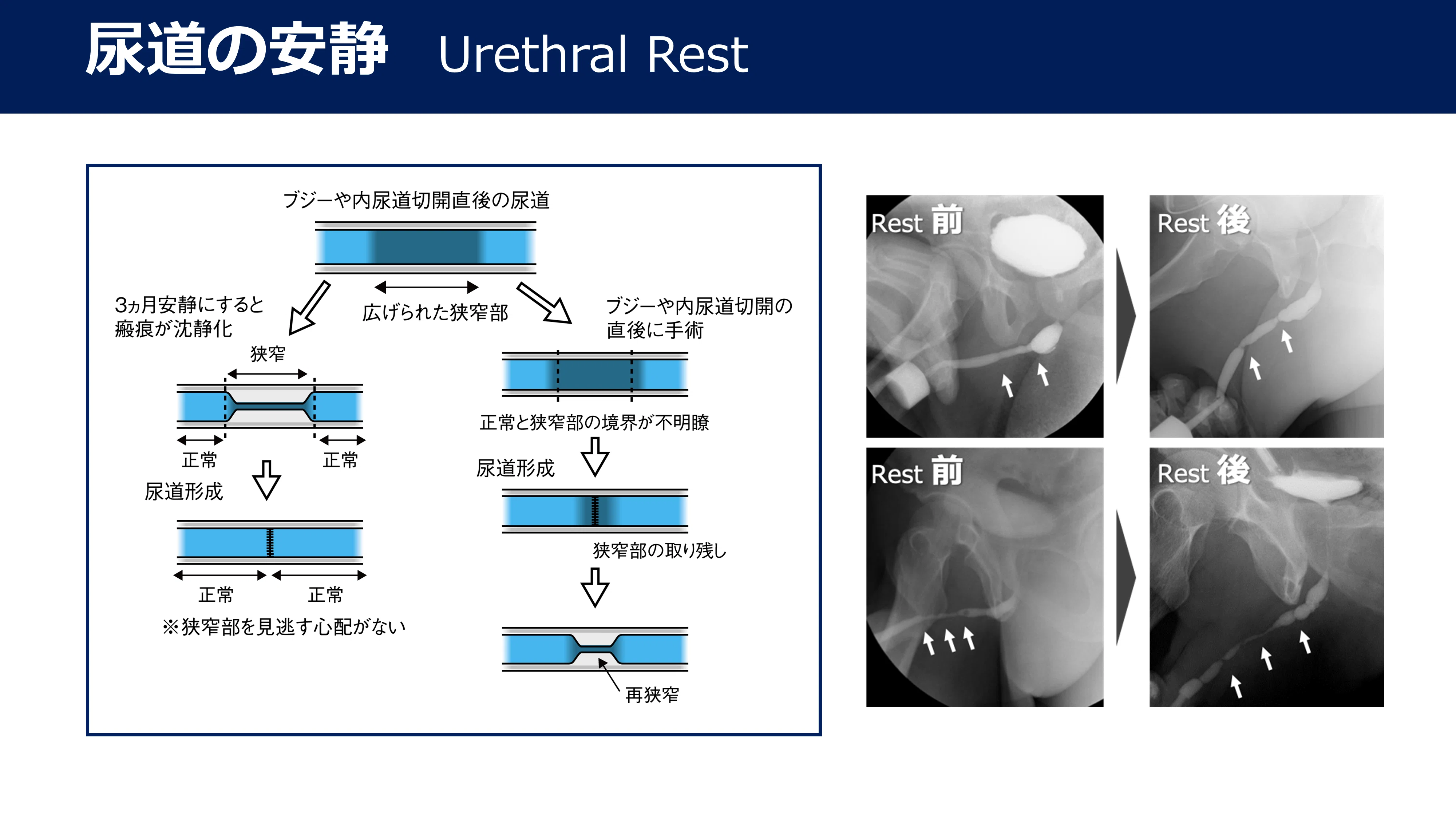 防衛 医大 紹介状 予約