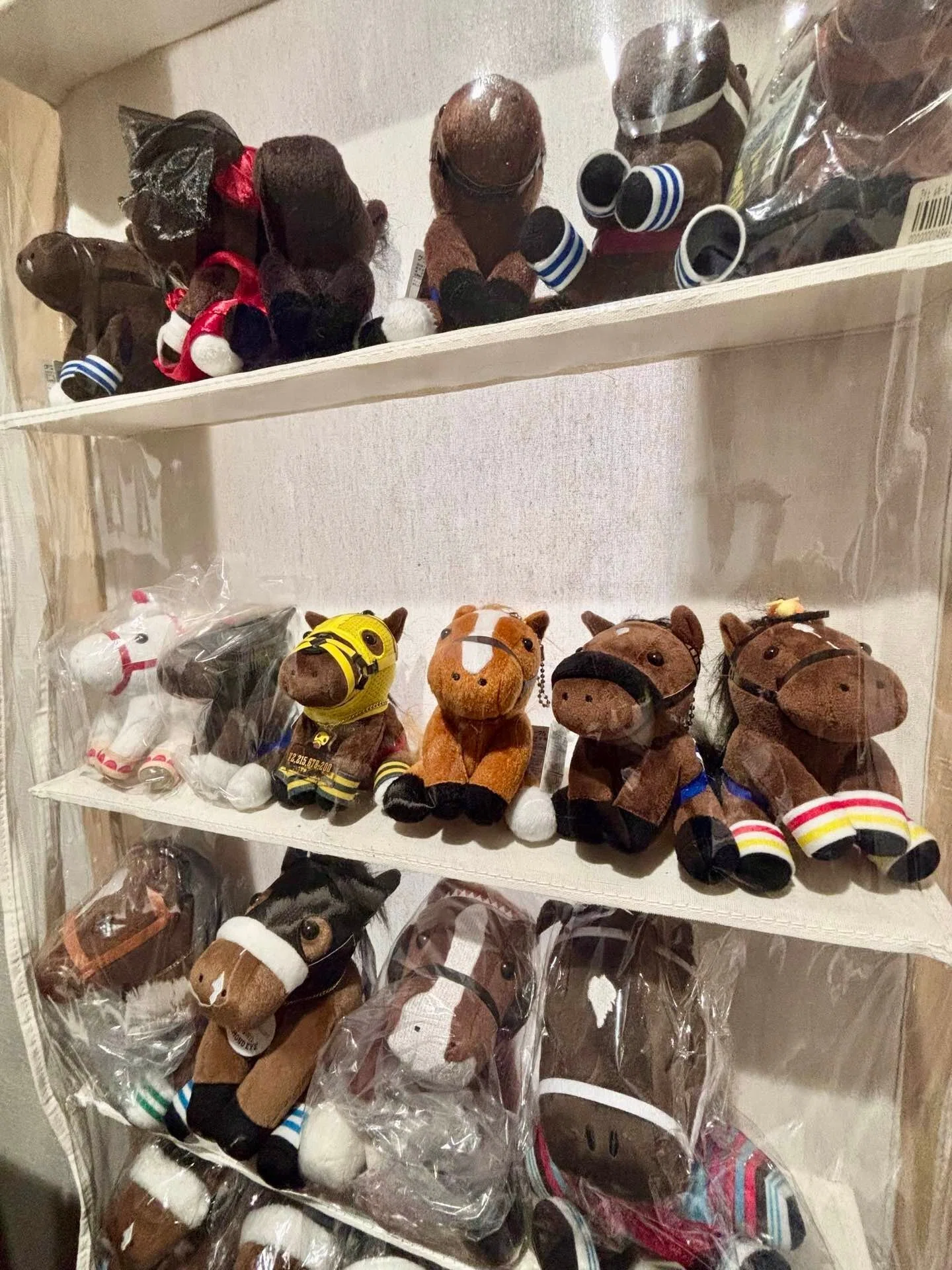 競馬グッズの収納を頑張ってみる 第2弾（ぬいぐるみ類）｜はまなす