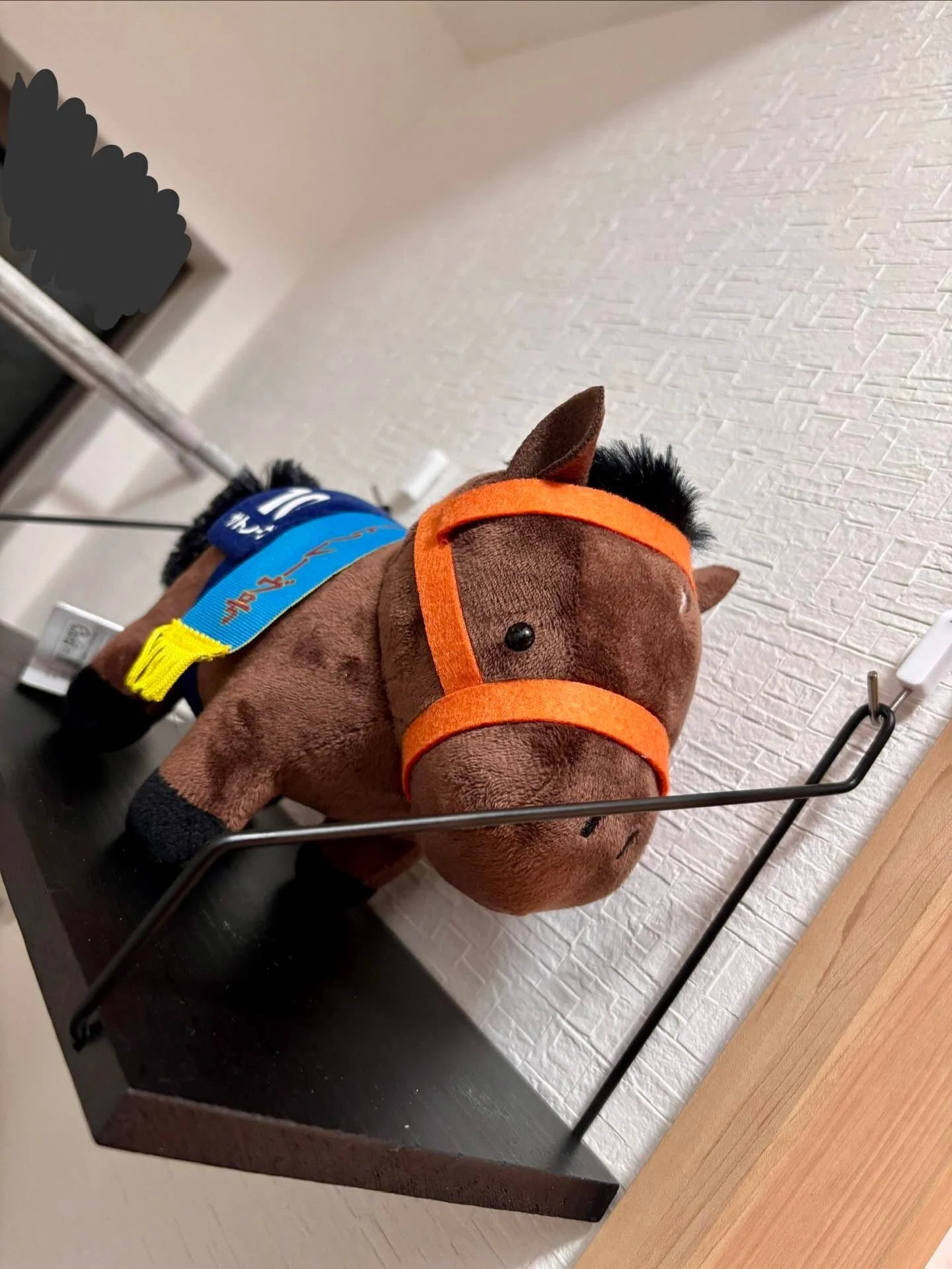 競馬グッズの収納を頑張ってみる 第2弾（ぬいぐるみ類）｜はまなす