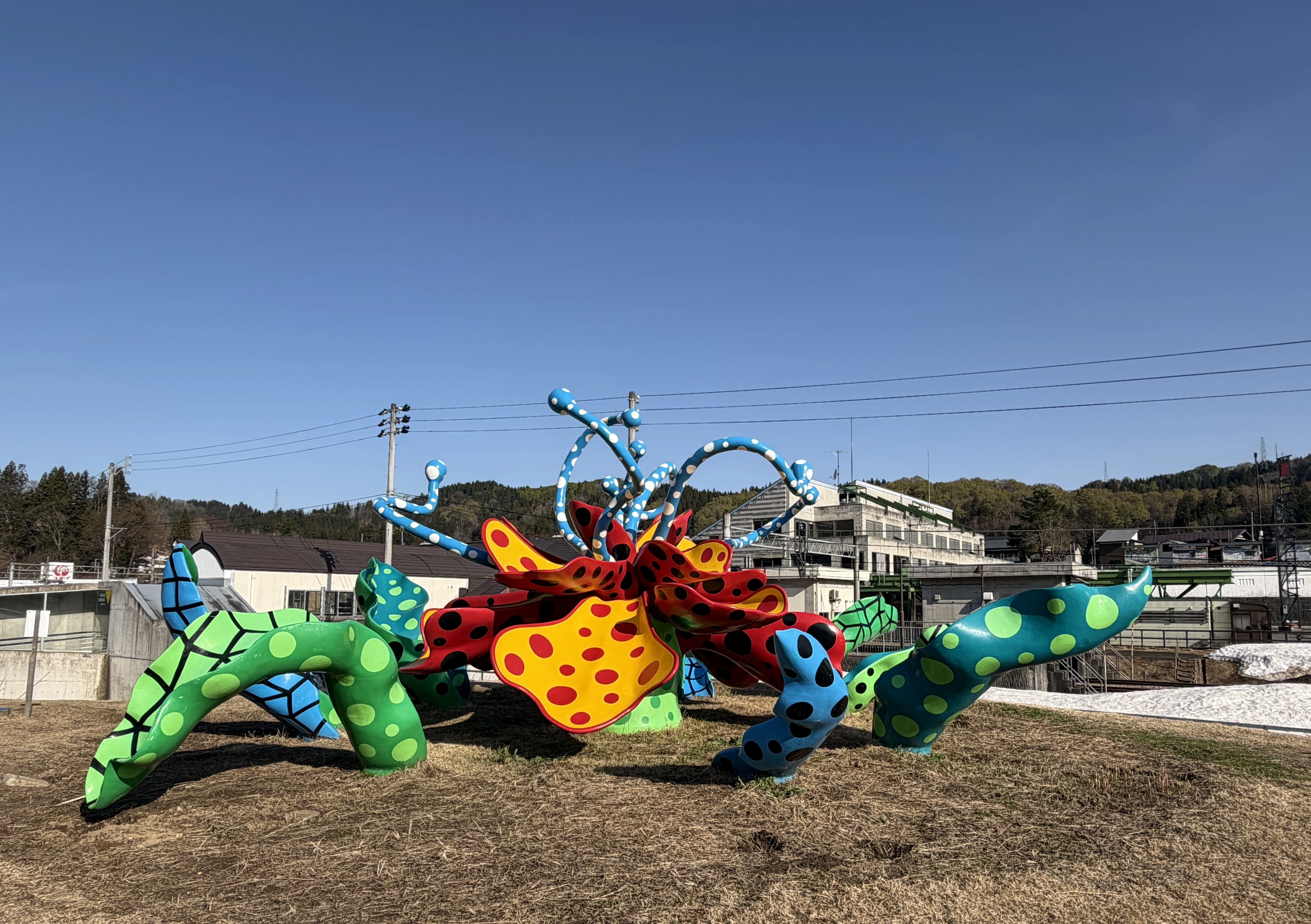 松代高校 note【登下校で毎日出会う「アート」 草間彌生先生の『花咲