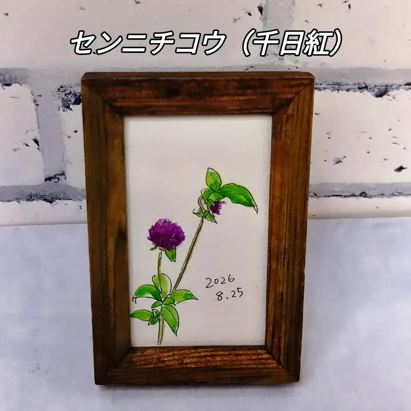 描きながら歩く8月25日|ヒマワリ成長記録㉕ 透明水彩スケッチ日記【57