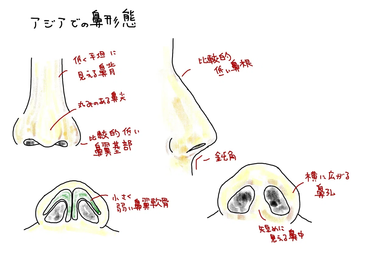 What are the differences between Japanese and Western 'noses'?｜草間 峻 ...