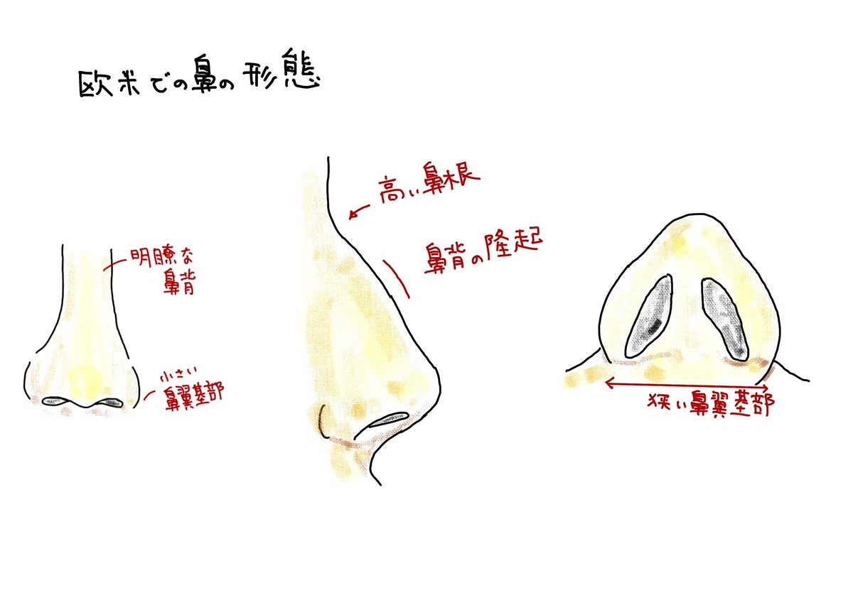 What are the differences between Japanese and Western 'noses'?｜草間 峻 ...