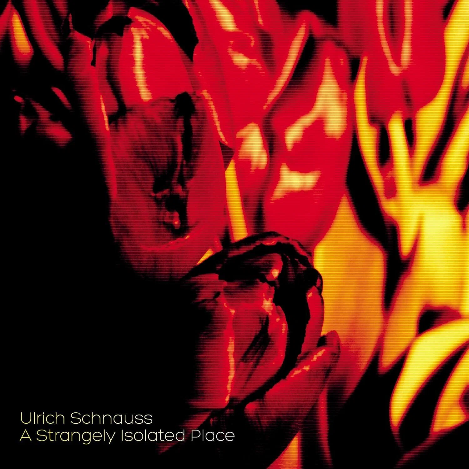 ULRICH SCHNAUSS ウルリッヒ・シュナウス SHOEGAZER CD 偏愛的アルバムレビュー〉A Strangely Isolated Place / Ulrich