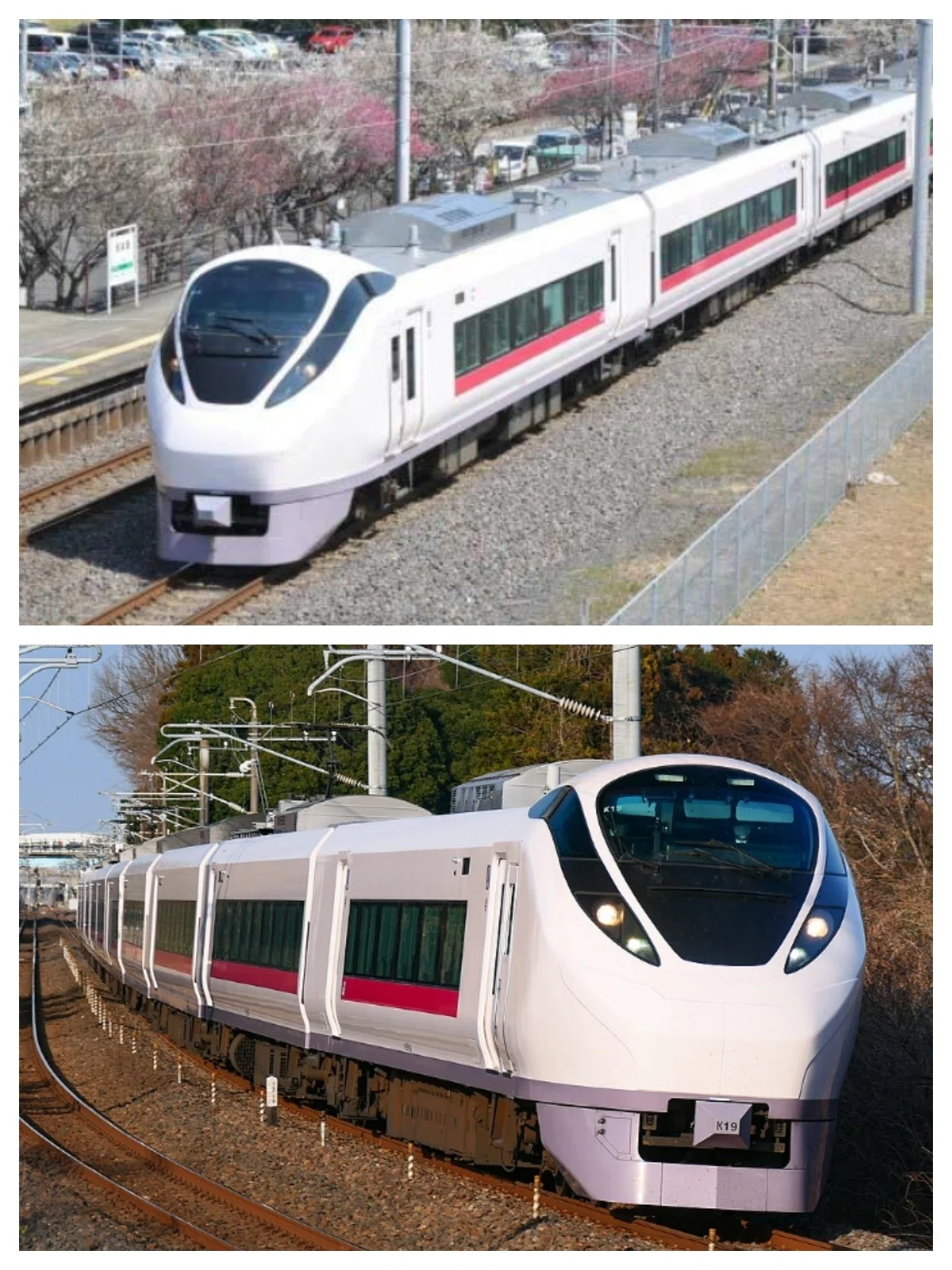 何故 スーパーひたち651系は消えたのか 平成を駆け抜けたSynchrogazer