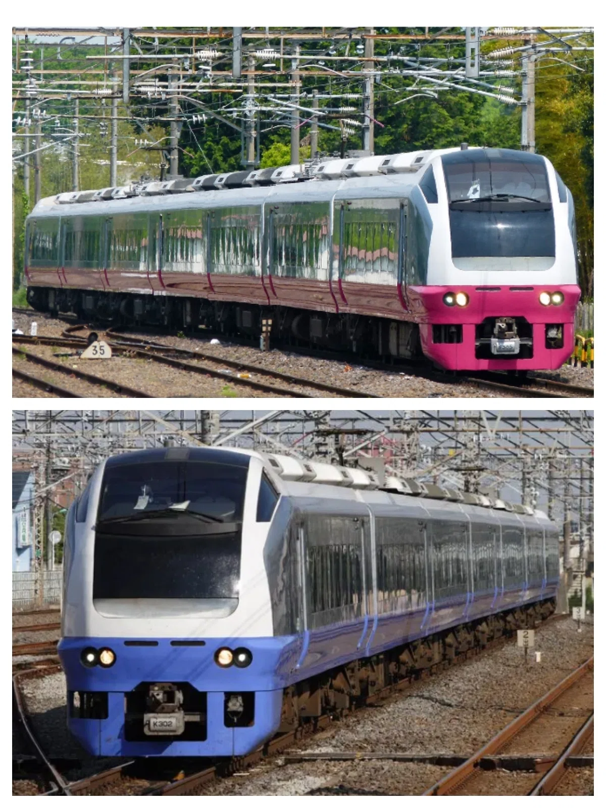 何故 スーパーひたち651系は消えたのか 平成を駆け抜けたSynchrogazer