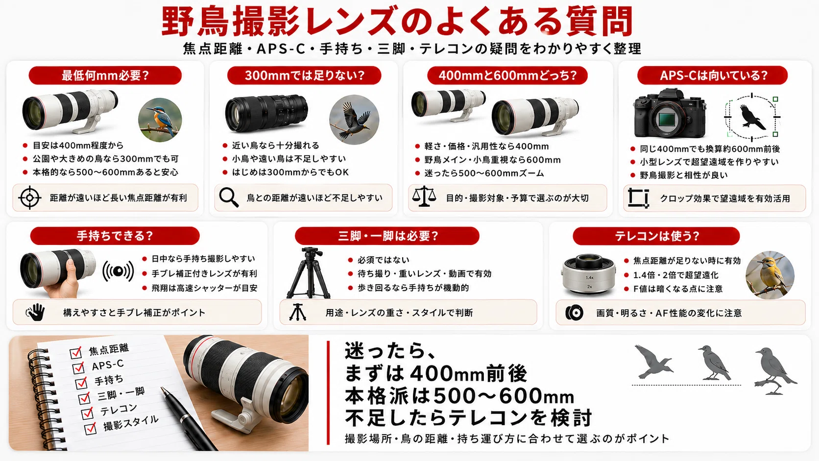 野鳥撮影におすすめのレンズ15選｜400mm・600mmはどっち？初心者向けに