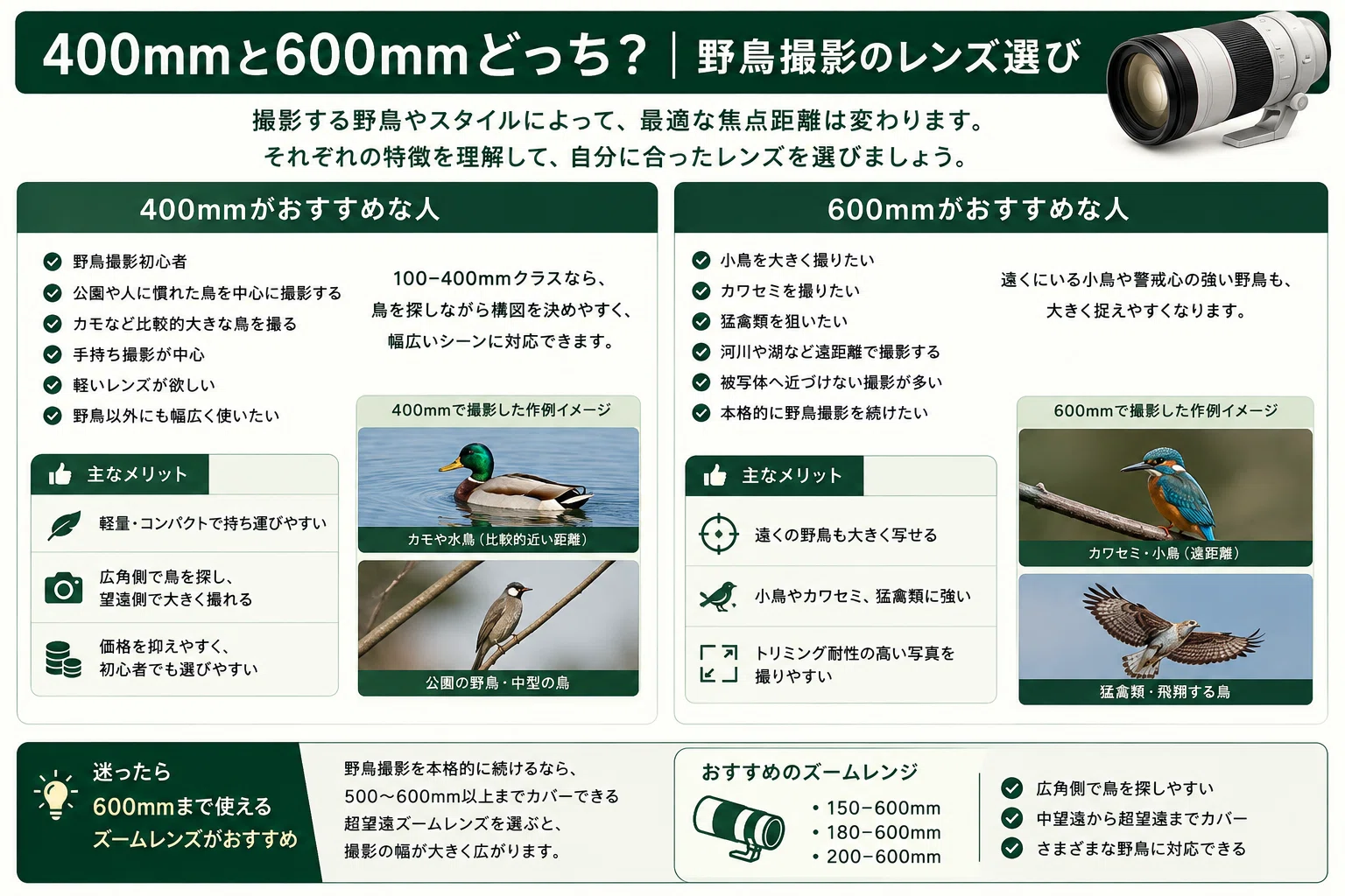 野鳥撮影におすすめのレンズ15選｜400mm・600mmはどっち？初心者向けに