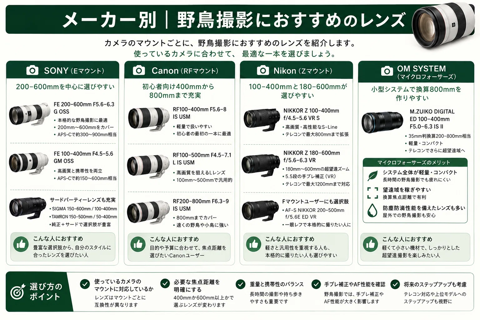 野鳥撮影におすすめのレンズ15選｜400mm・600mmはどっち？初心者向けに