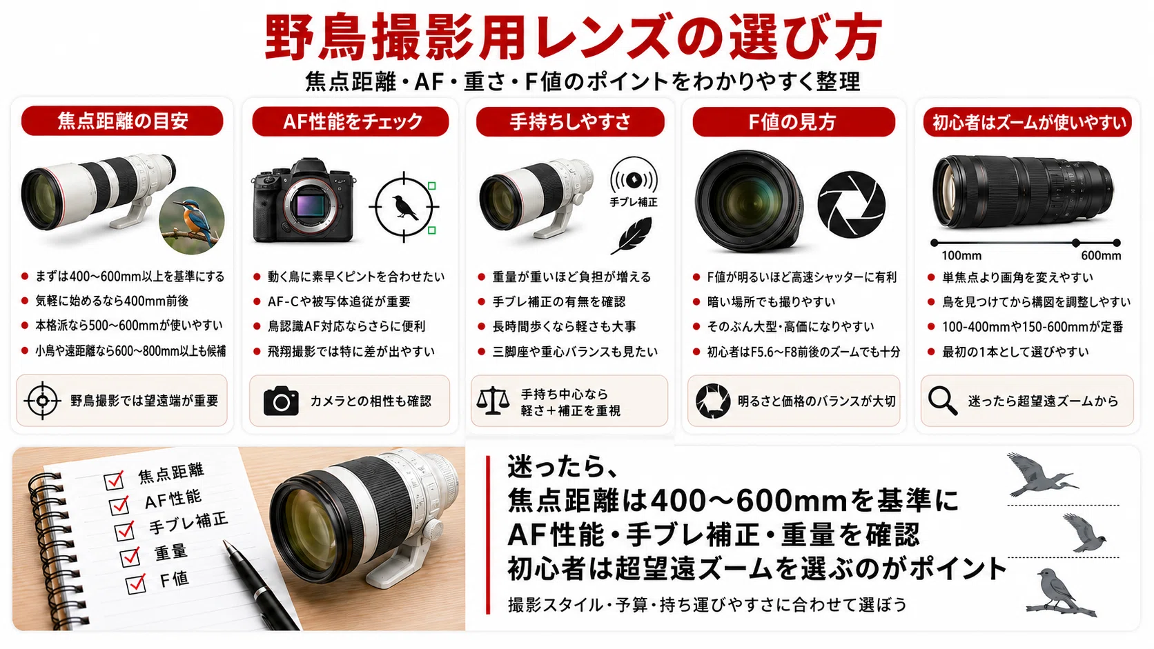 野鳥撮影におすすめのレンズ15選｜400mm・600mmはどっち？初心者向けに