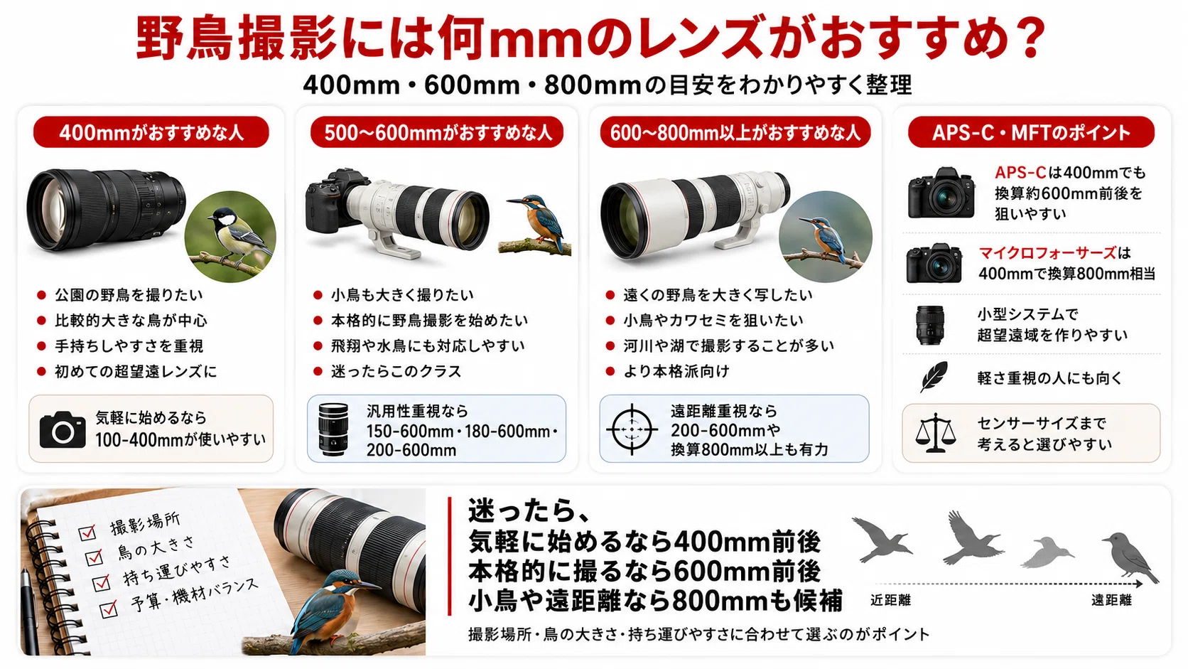 野鳥撮影におすすめのレンズ15選｜400mm・600mmはどっち？初心者向けに