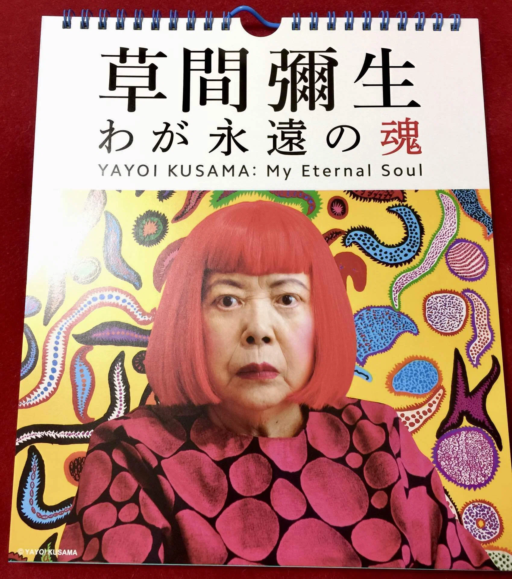草間彌生さんを偲んで、思い出の展覧会『草間彌生 わが永遠の魂
