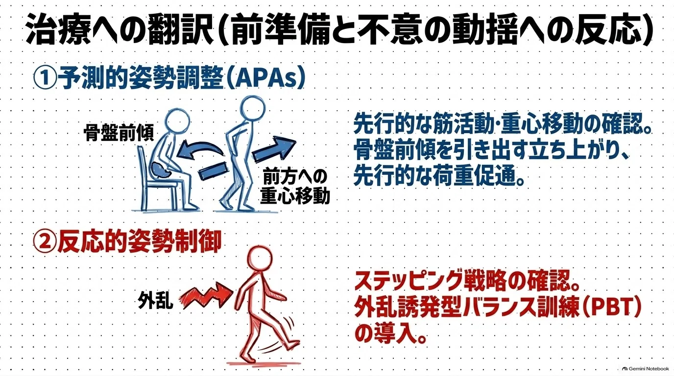 知識編🧠】BBS満点でも転倒する？脳卒中バランス評価の「落とし穴」を