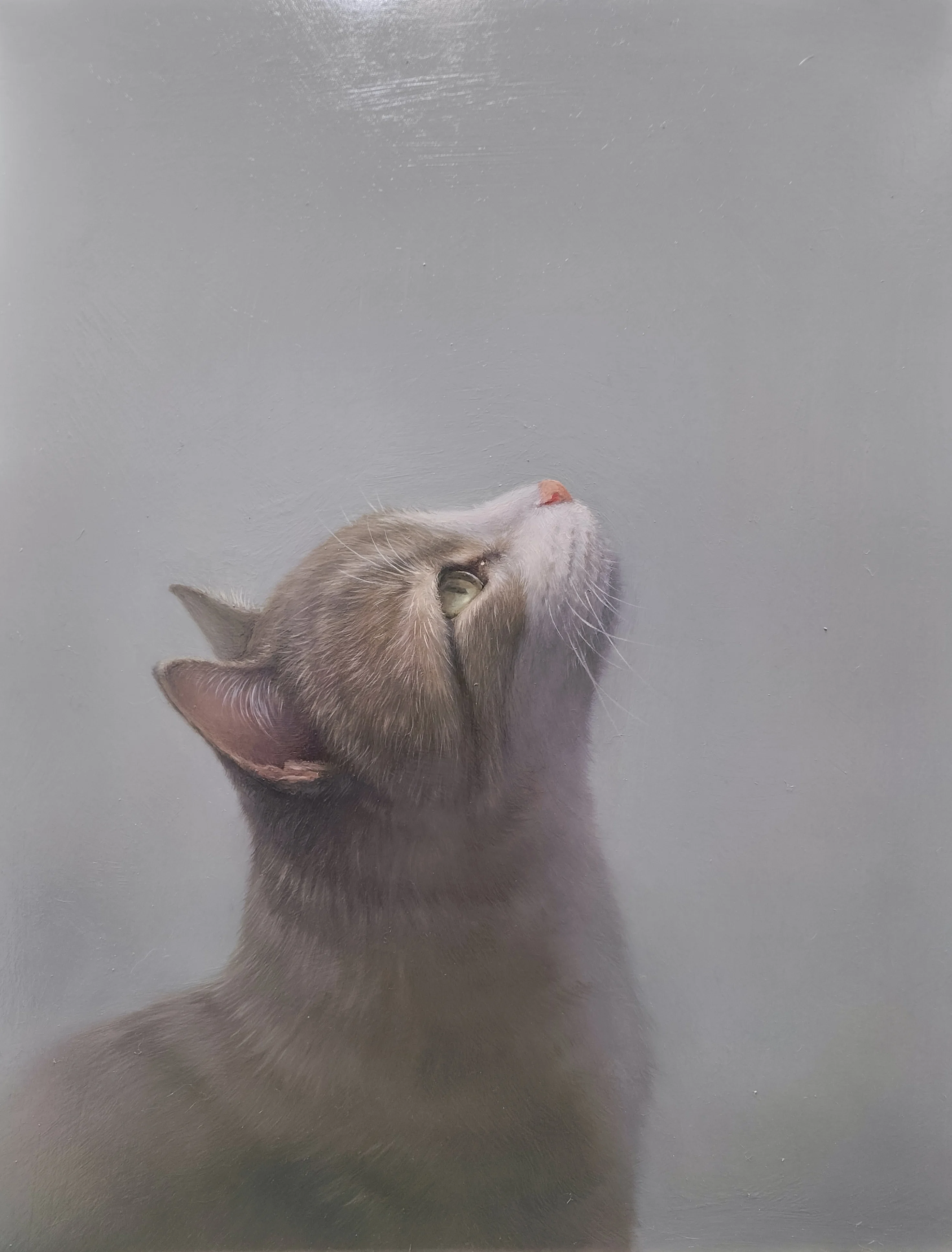 猫の肖像、余白の向こうへ｜画家・山崎良太の作品を読む｜Ginza CAT