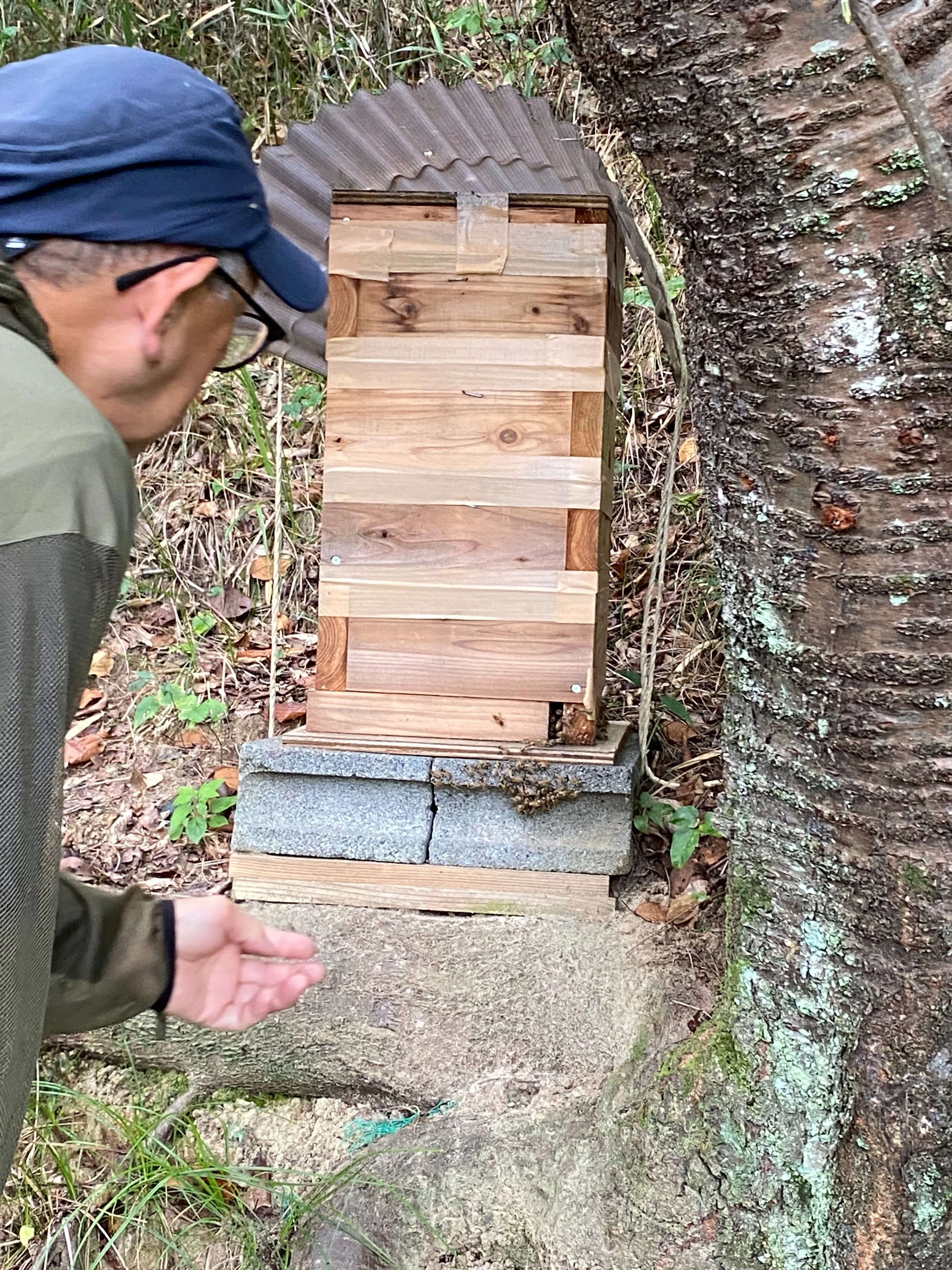 日本ミツバチの継ぎ箱｜川崎市黒川青少年野外活動センター
