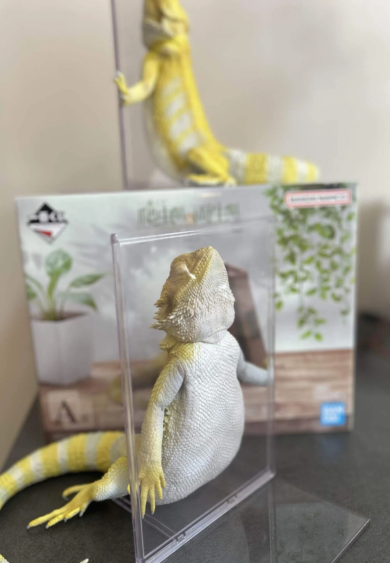 一番くじ】『爬虫類＆両生類～Tiny Friends～vol.3』で大優勝した