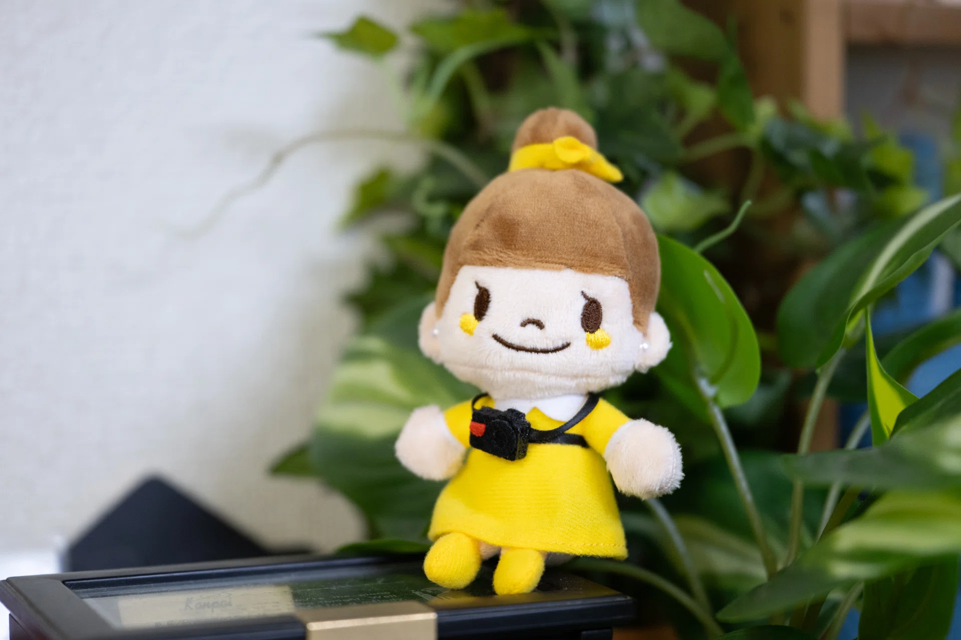 ニコンちゃんがやってきた！｜下司智津惠(GeshiChizue)