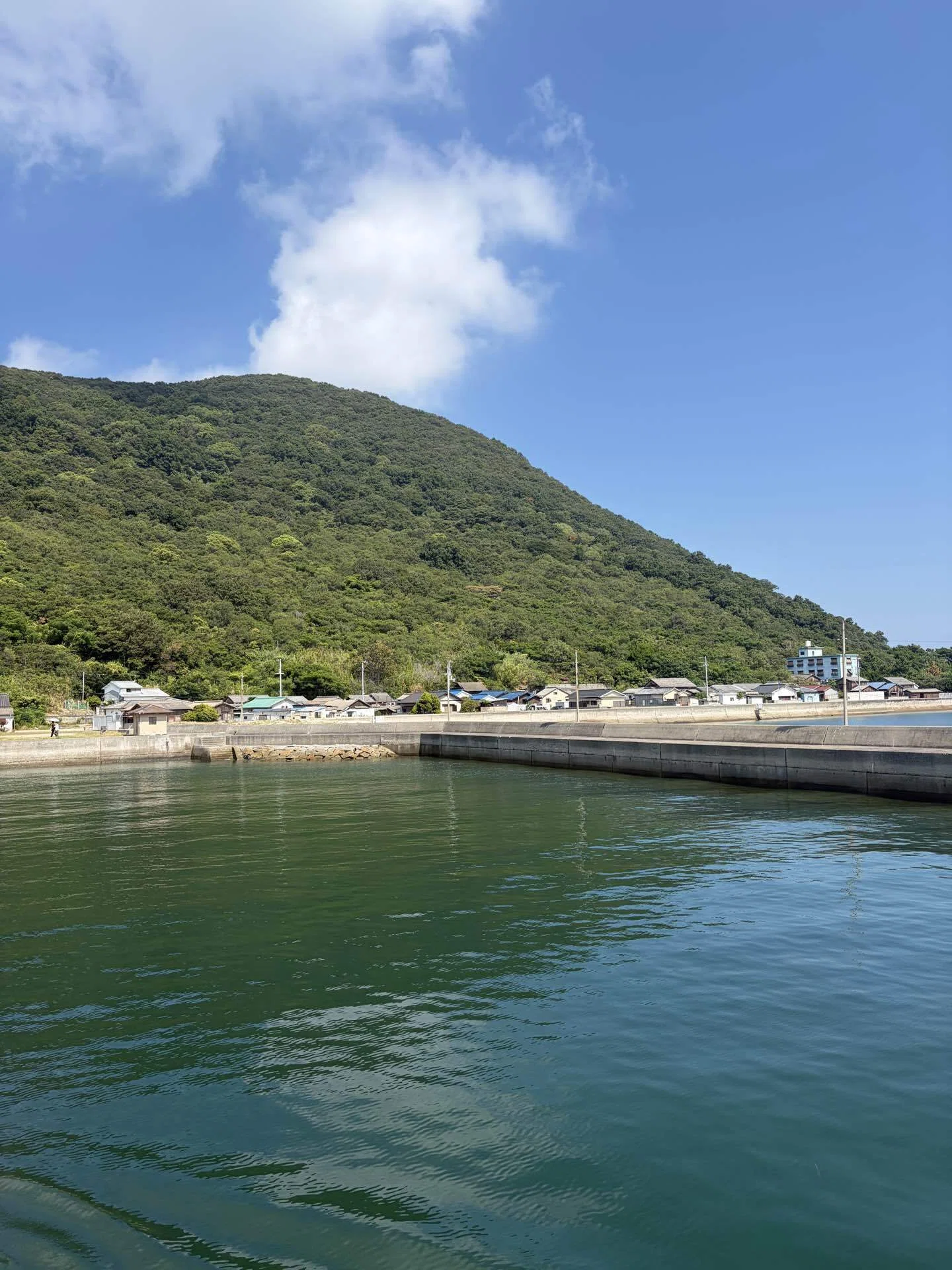 香川県佐柳島の記録｜真夏の猫島で猫を探して歩いた日｜海とブギー