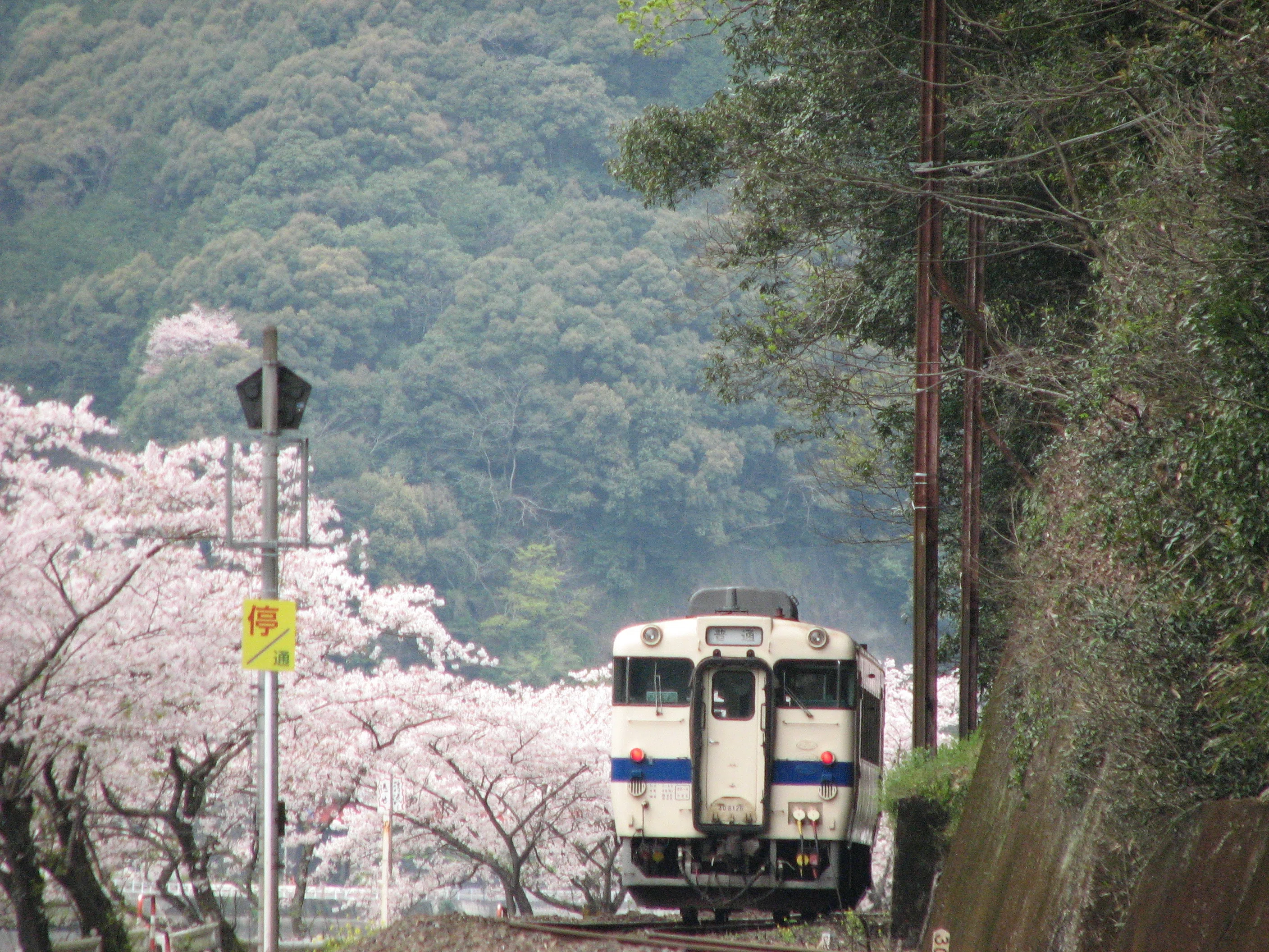 昔の肥薩線全駅】鎌瀬駅・瀬戸石駅｜しいさんの自分語り