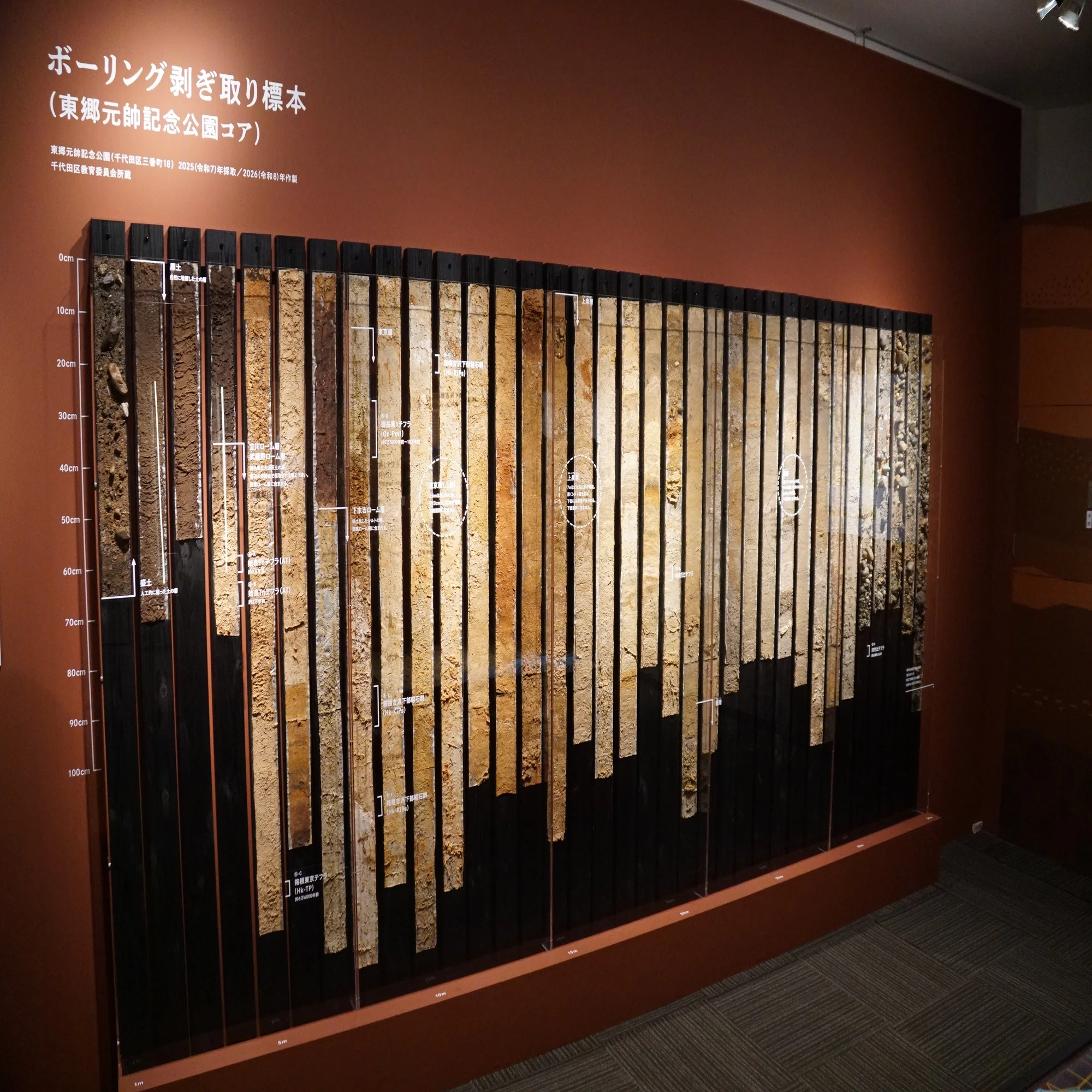 2026/8/29 日比谷図書文化館特別展「発見された東京の化石」ですよ