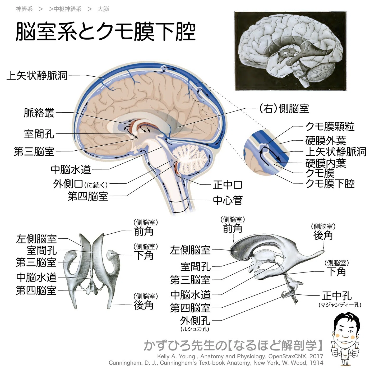 公の場での発言・インタビュー報道記録