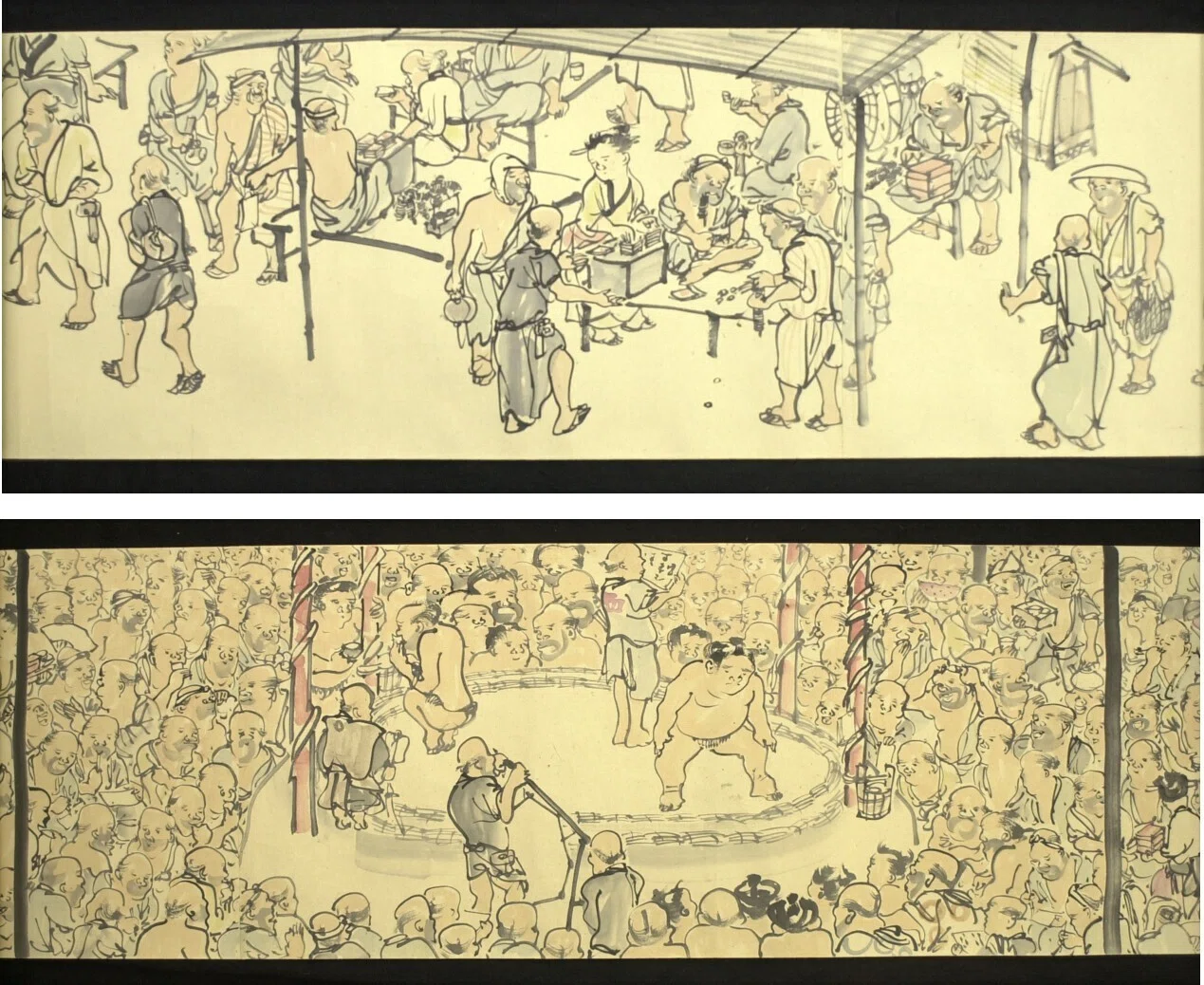 1800年代末 デントン 魚 多色石版画 5枚 アンティーク博物画
