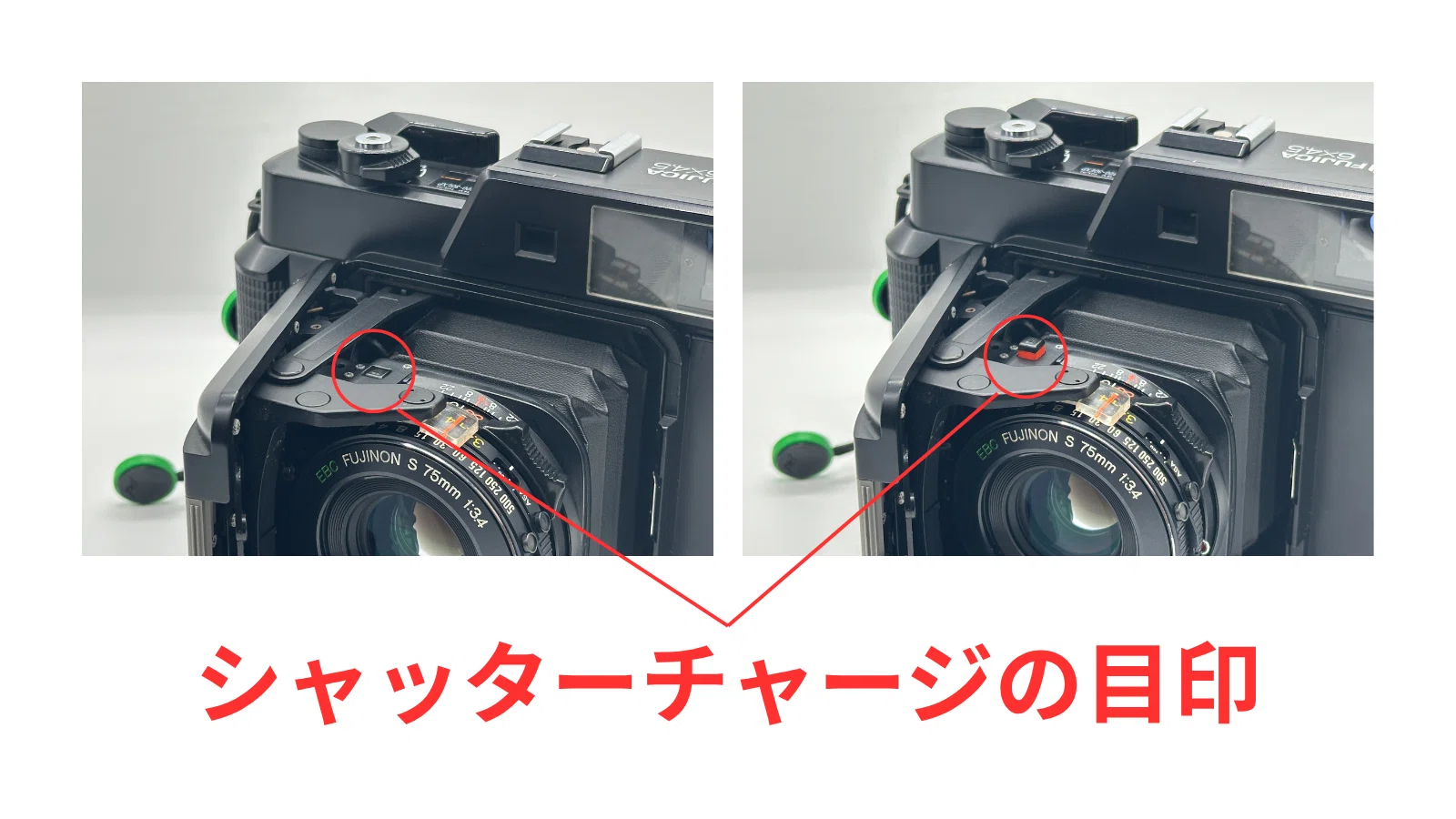 私の愛機紹介：FUJICA GS645 Professional (作例あり)｜yoshino