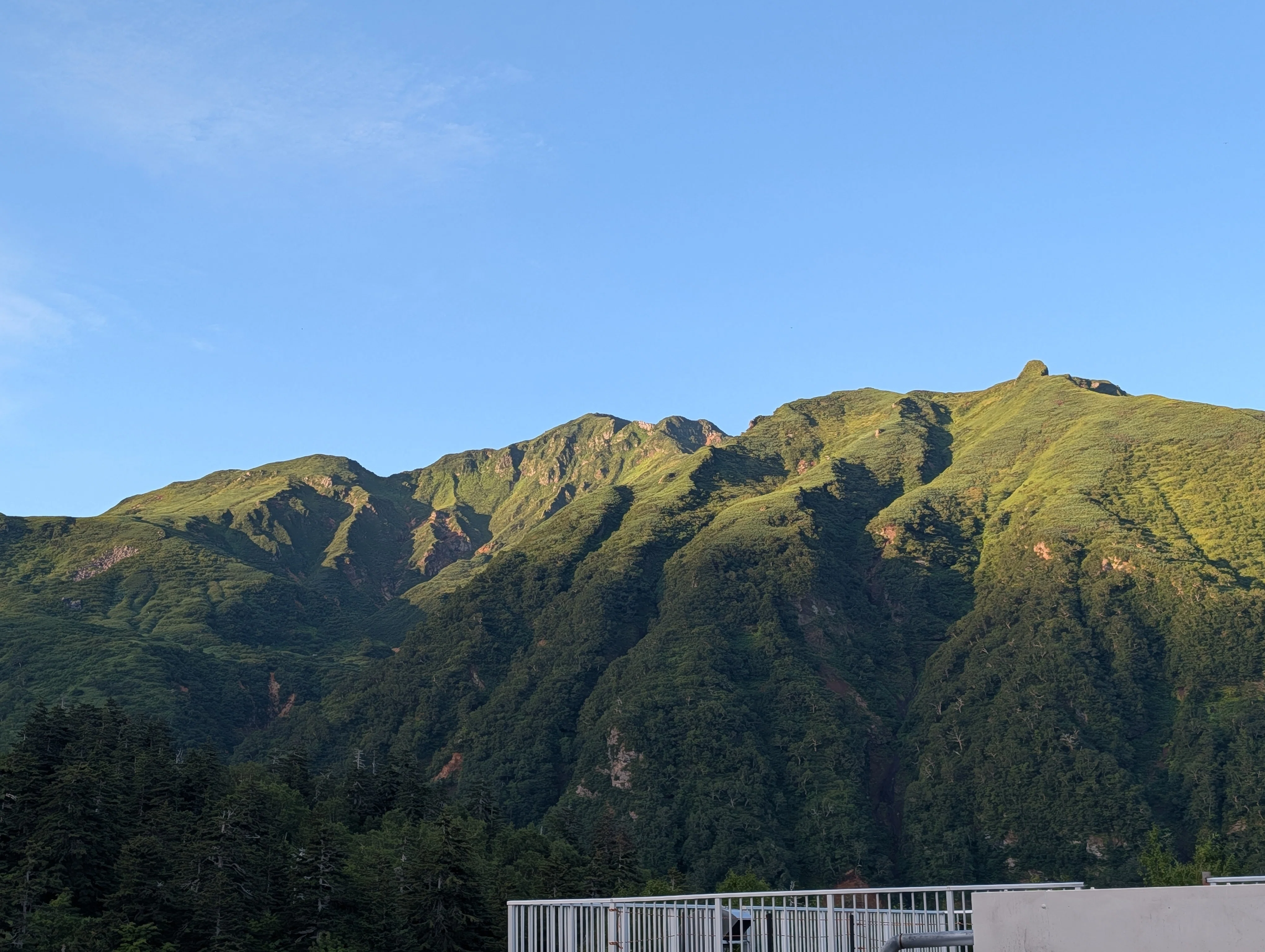 なぜ十勝連峰は「花の山」と「火の山」が隣り合うのか｜YuYaアウトドア