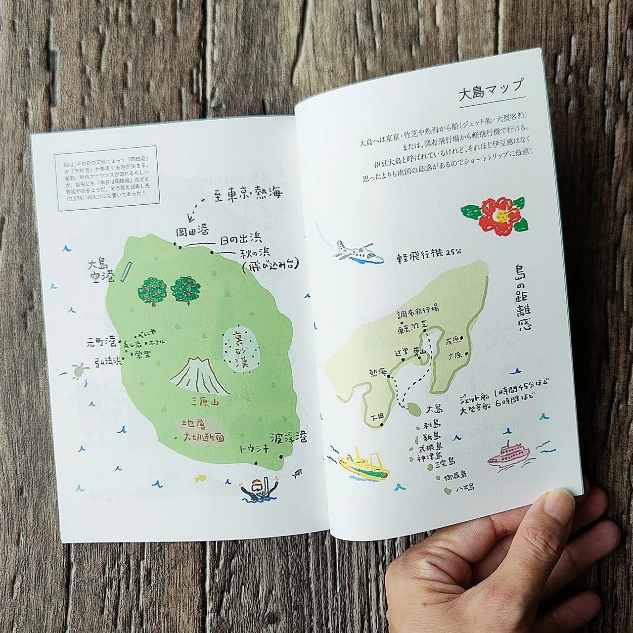 Oshima ZINE: Adult Swimming in Izu Oshima