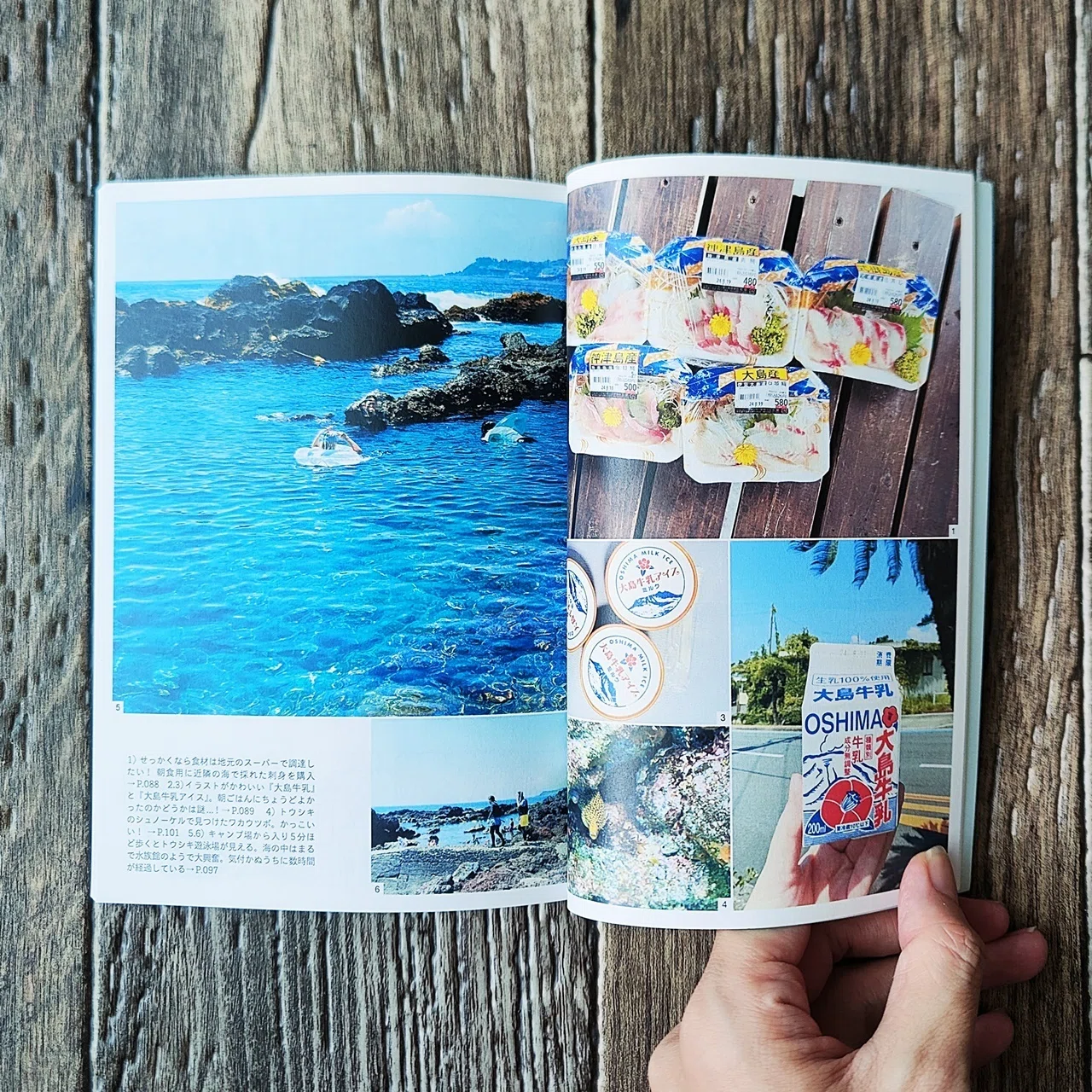 Oshima ZINE: Adult Swimming in Izu Oshima