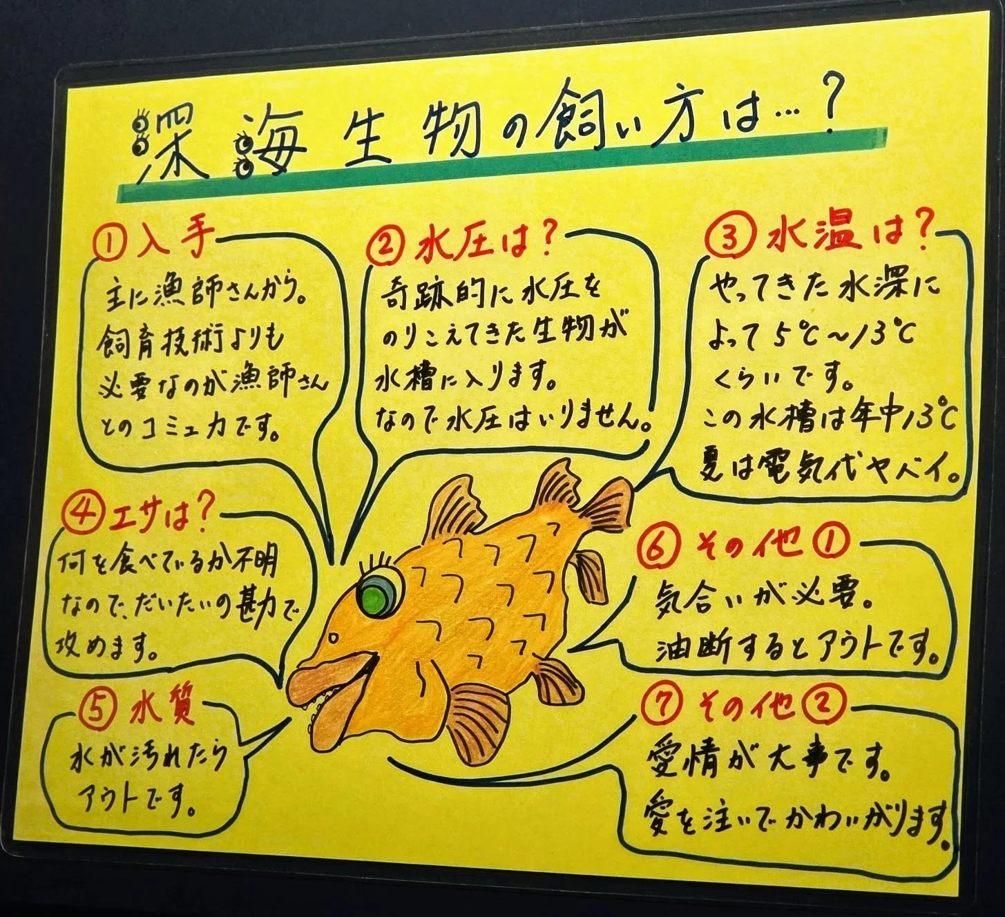 竹島水族館で過ごした夏休みの終わり。POPを見る私と、深海魚を見る